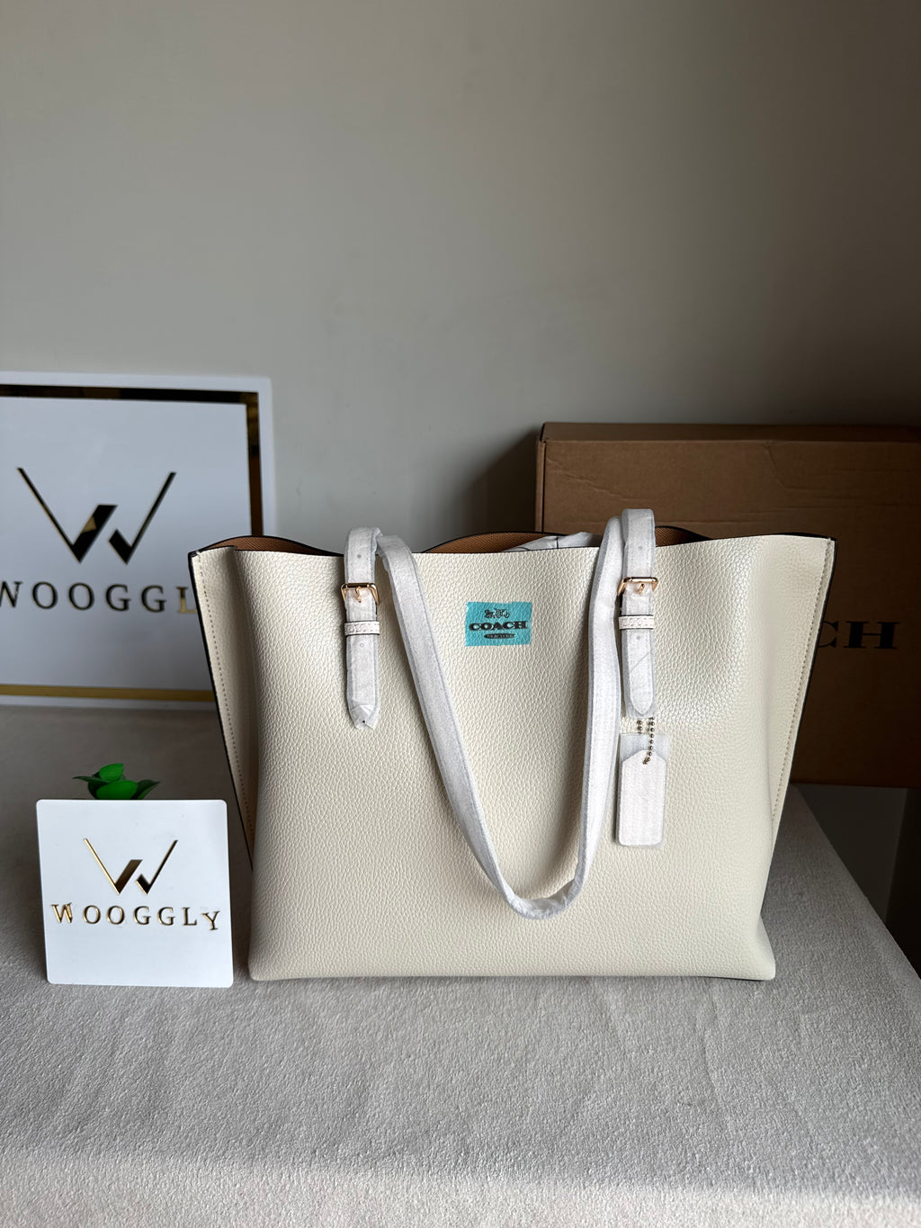 EXTREMELY PREMIUM COACH Mollie Tote Bag - Cream (BOX PACKING)