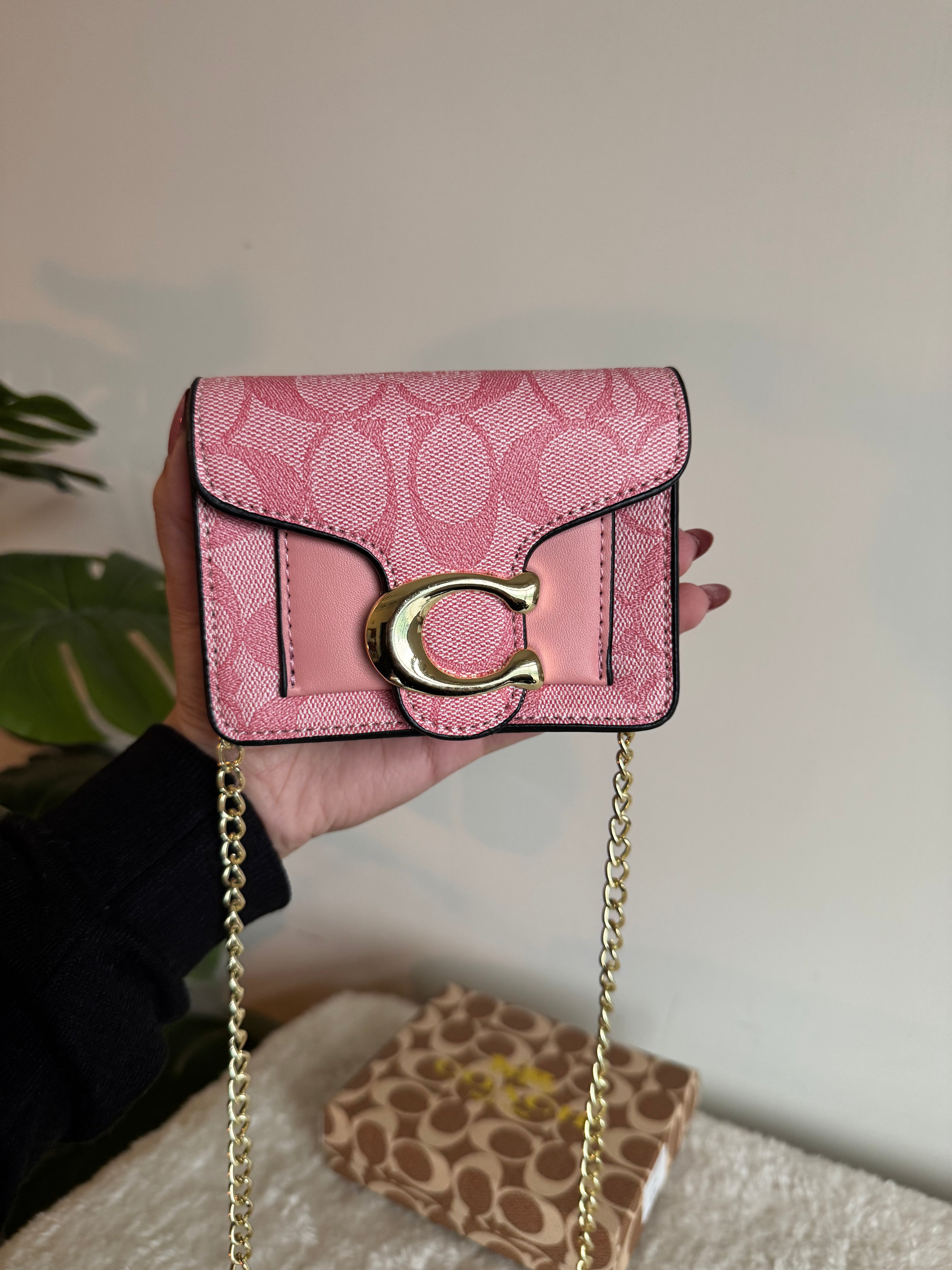 Coach Signature Wallet with Detachable Long Chain - Pink