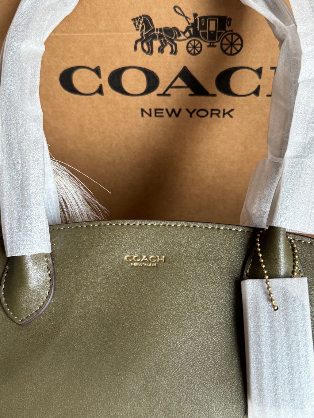 COACH Empire Bag EXTREMELY PREMIUM (Olive Green) - BOX PACKING