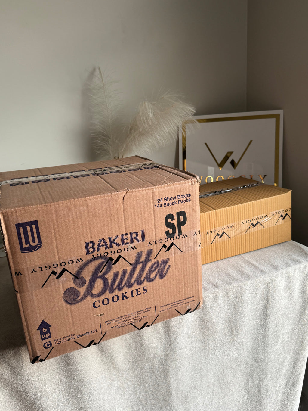 CARTON BOX PACKING for PAPER BAGS