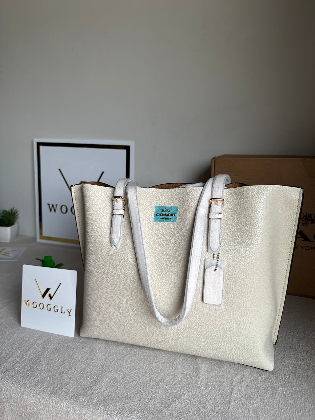 EXTREMELY PREMIUM COACH Mollie Tote Bag - Cream (BOX PACKING)
