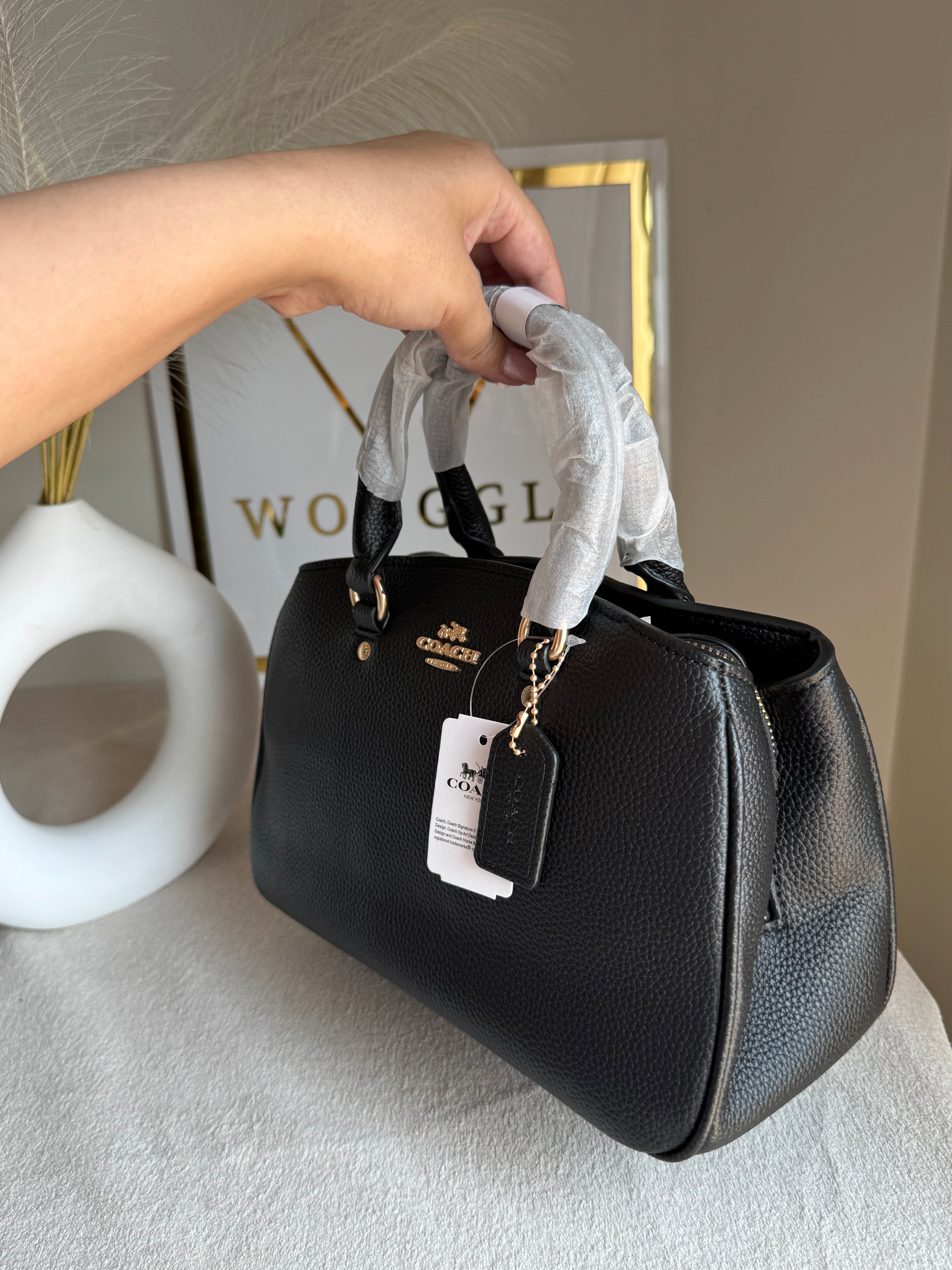 COACH PREMIUM Hand Bag (Black)