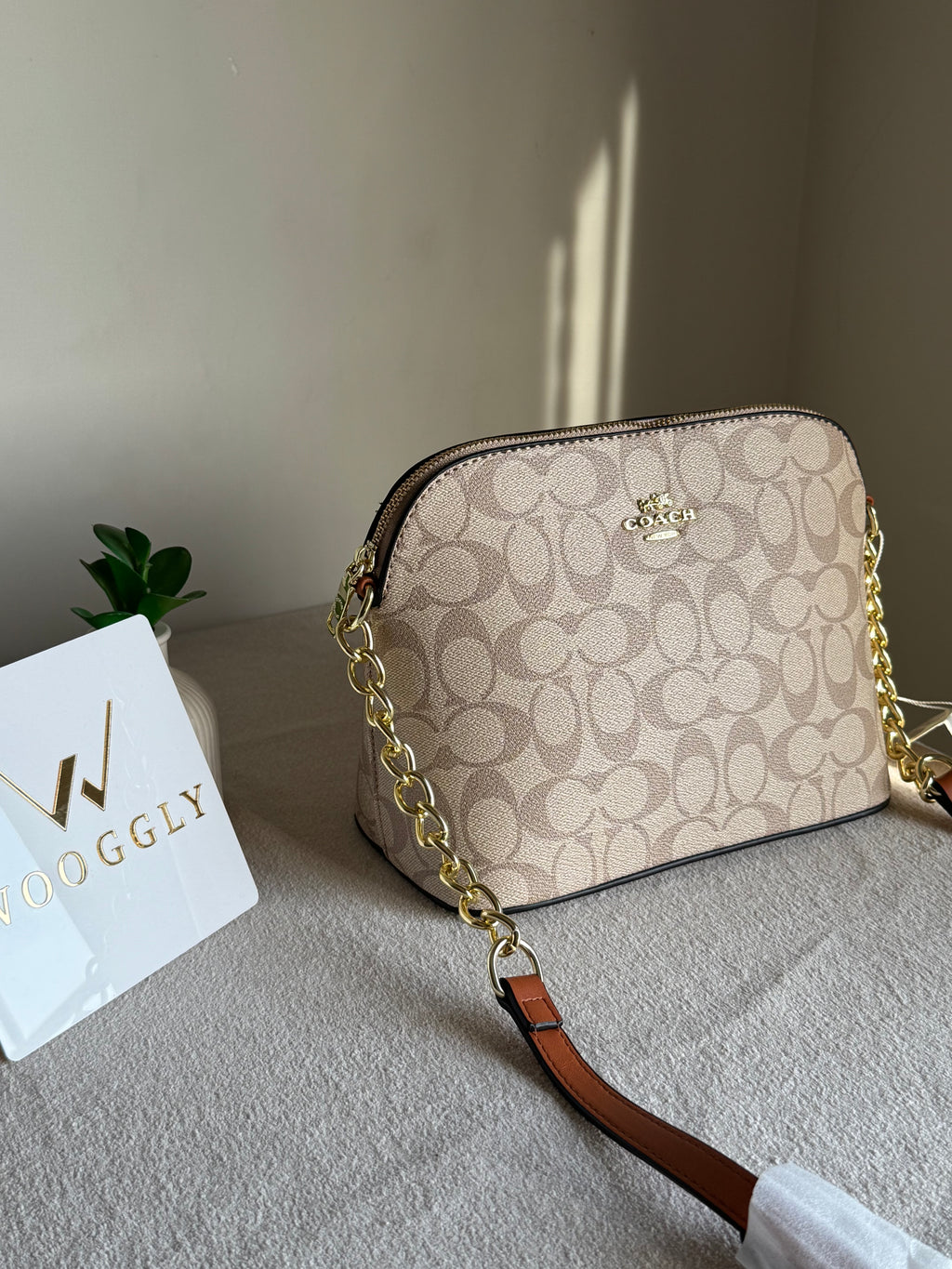 COACH Premium Crossbody Bag - Beige & Brown