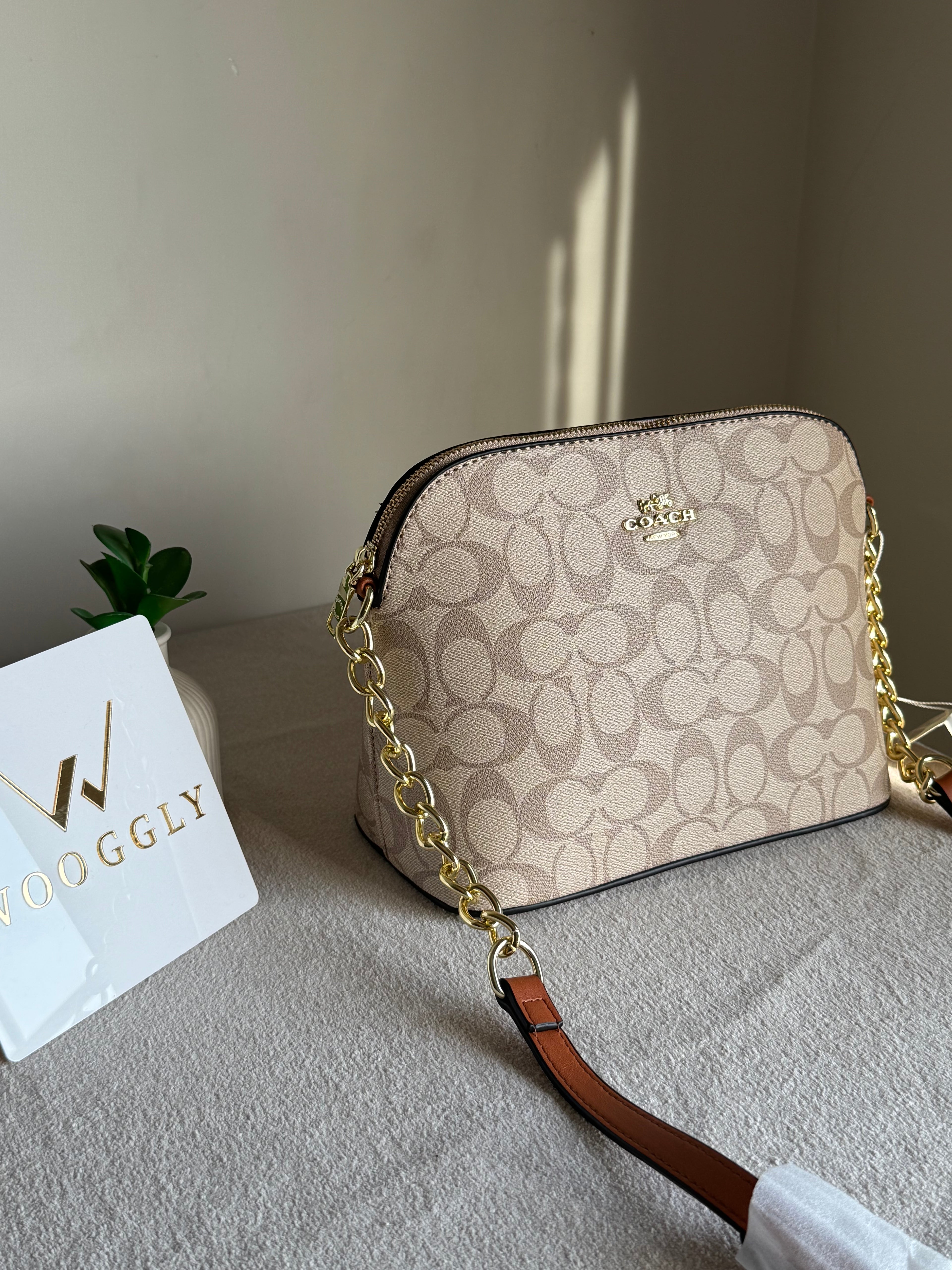 COACH Premium Crossbody Bag - Beige & Brown