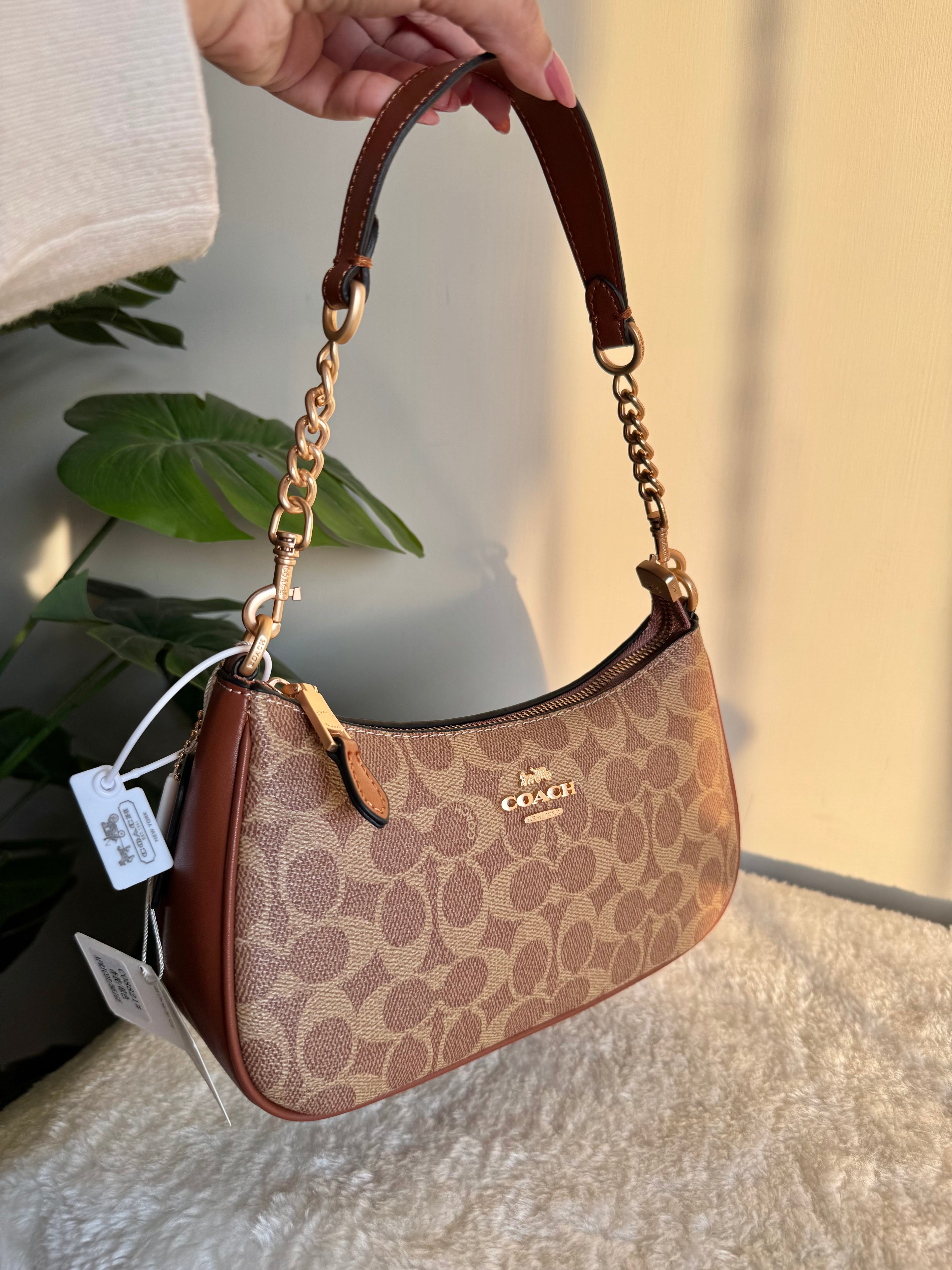 COACH TERI PREMIUM (Apricot Brown) - BOX PACKING