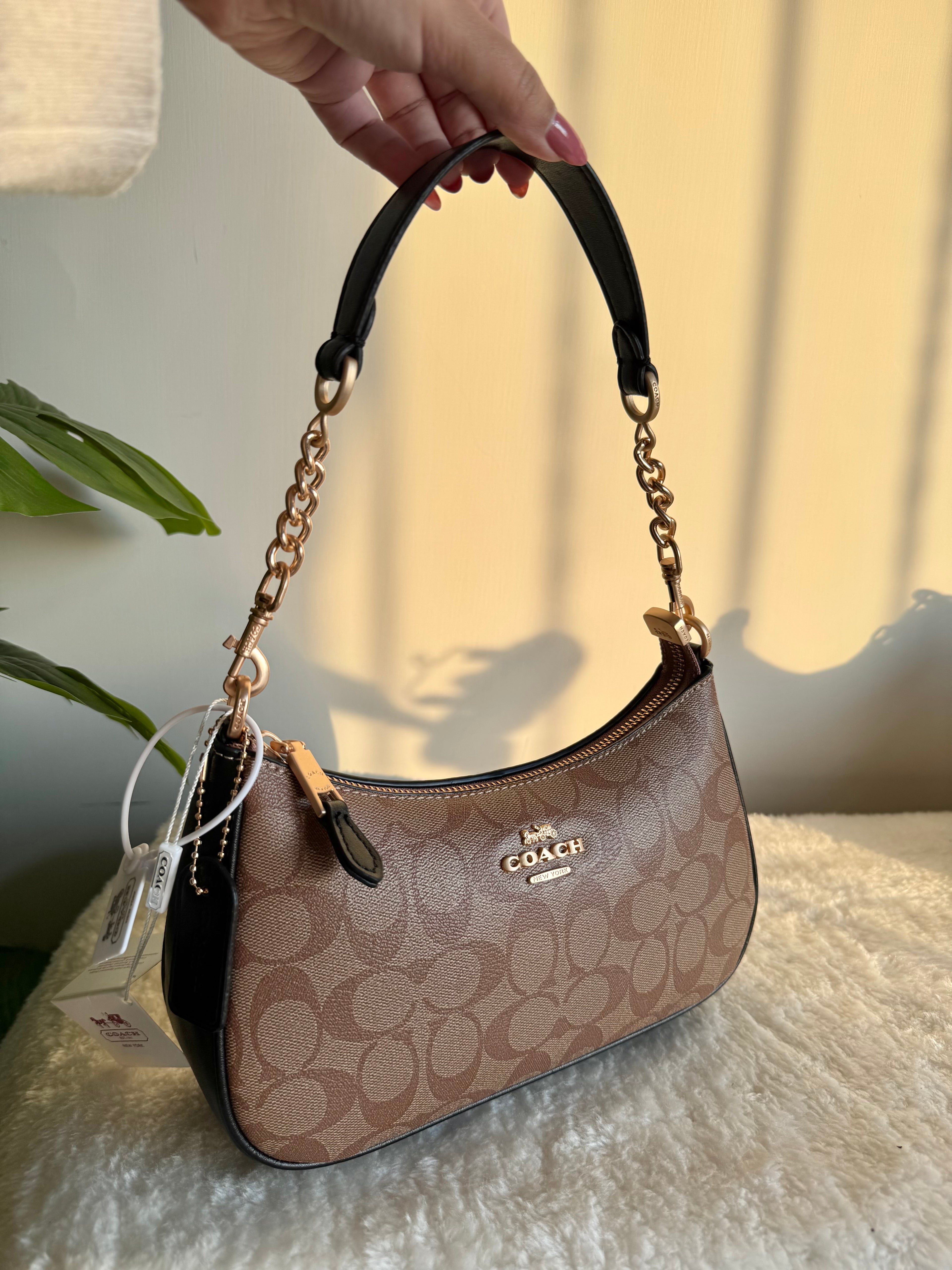 COACH TERI PREMIUM (Apricot Black) - BOX PACKING