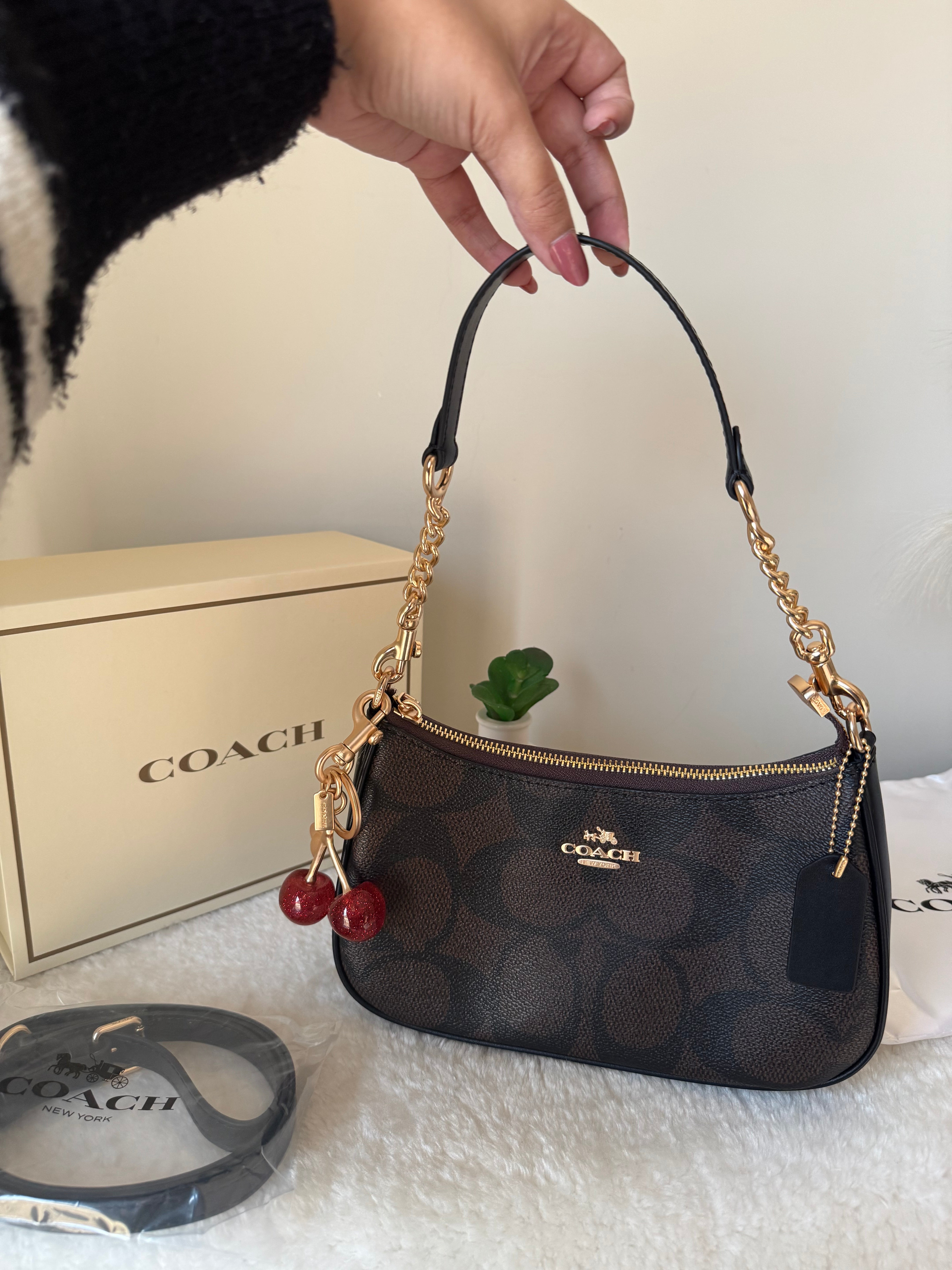 COACH TERI PREMIUM with Coach Cherry Charm (Brown) - BOX PACKING