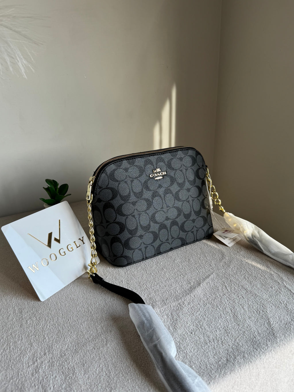 COACH Premium Crossbody Bag - Black