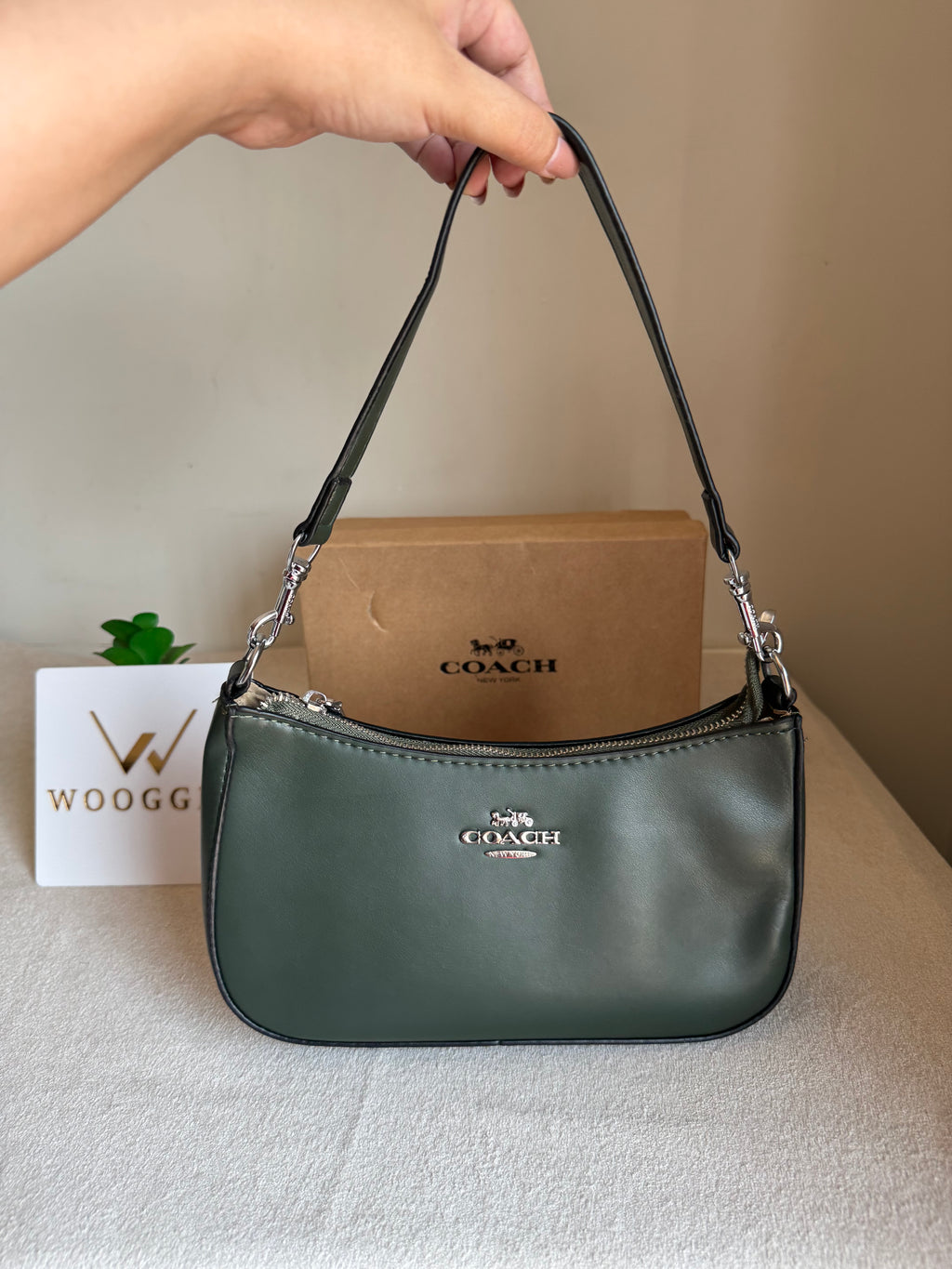 COACH TERI PREMIUM (Olive) - BOX PACKING