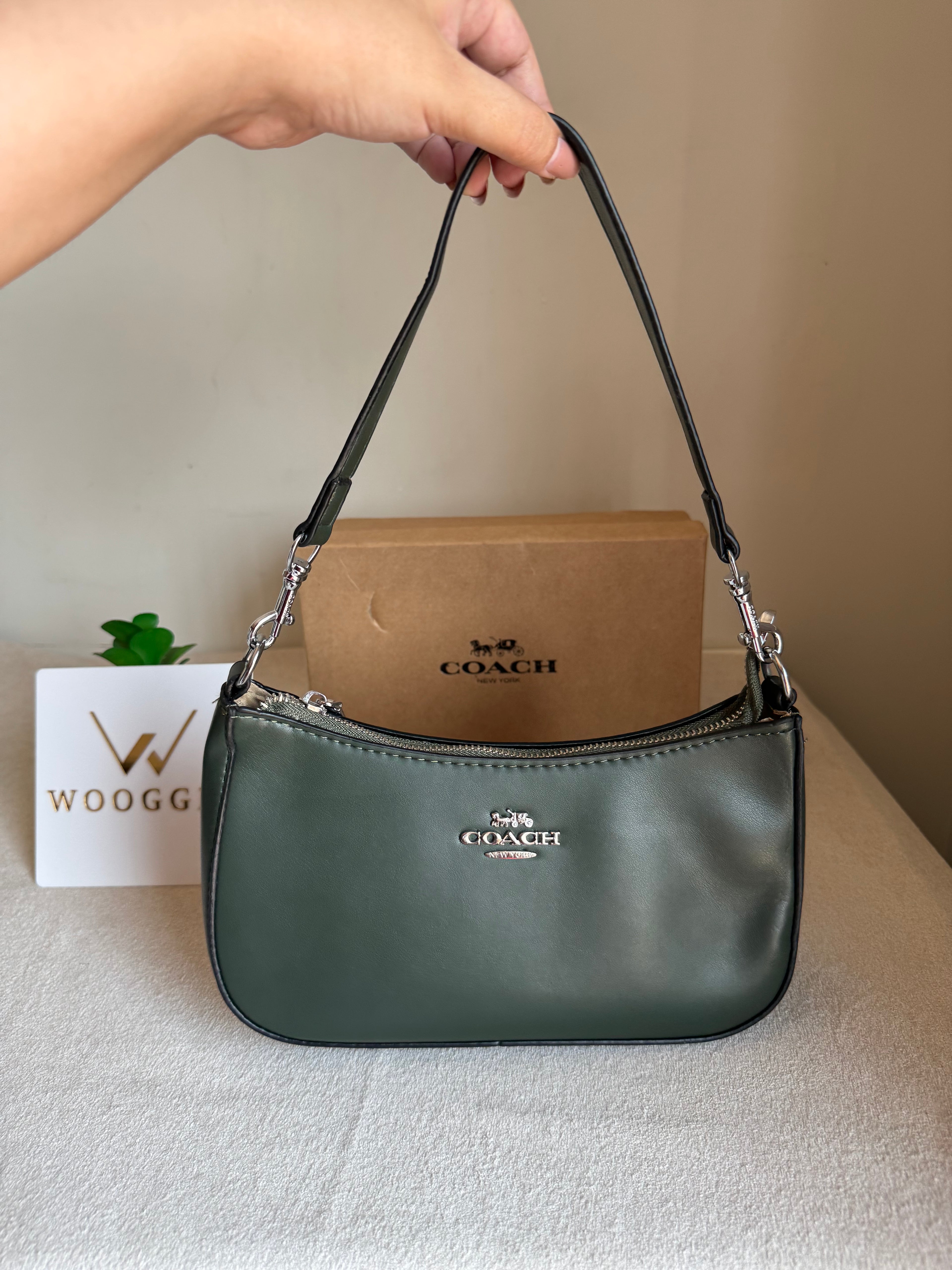 COACH TERI PREMIUM (Olive) - BOX PACKING