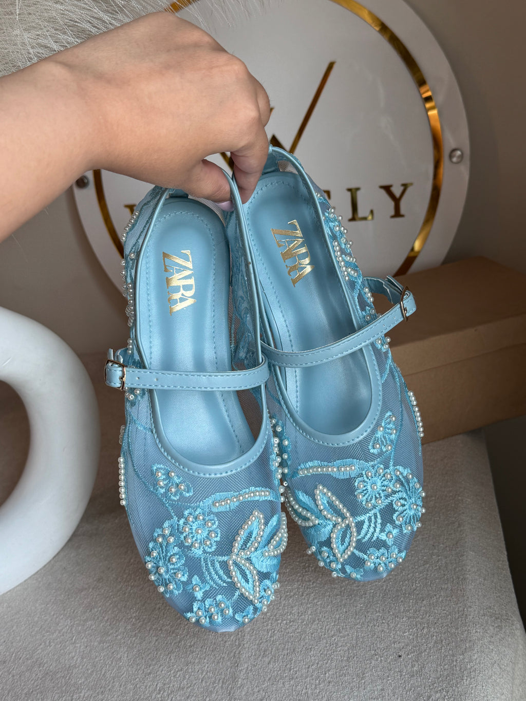 Zara Embroided Net Pumps - Baby Blue
