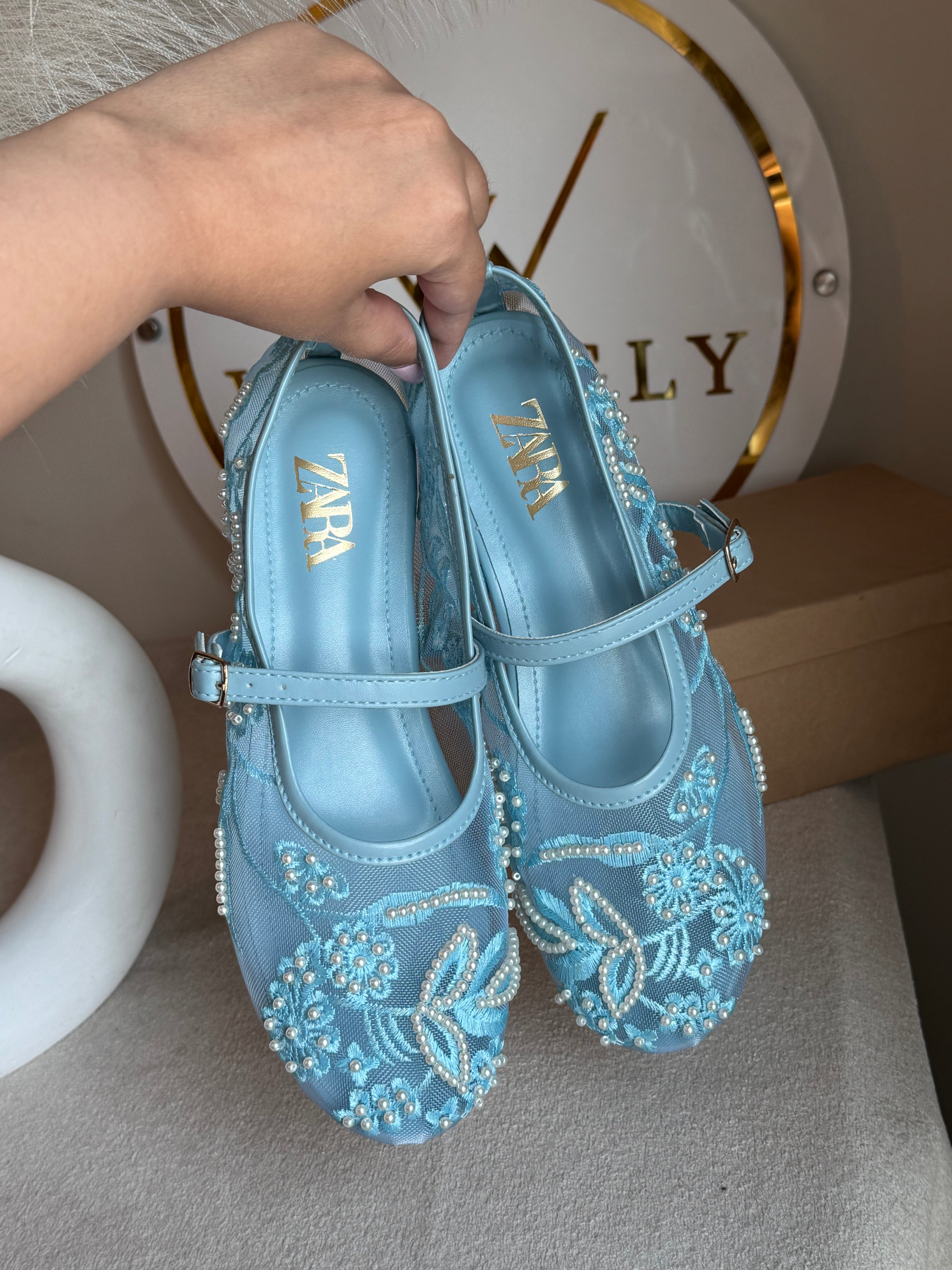 Zara Embroided Net Pumps - Baby Blue