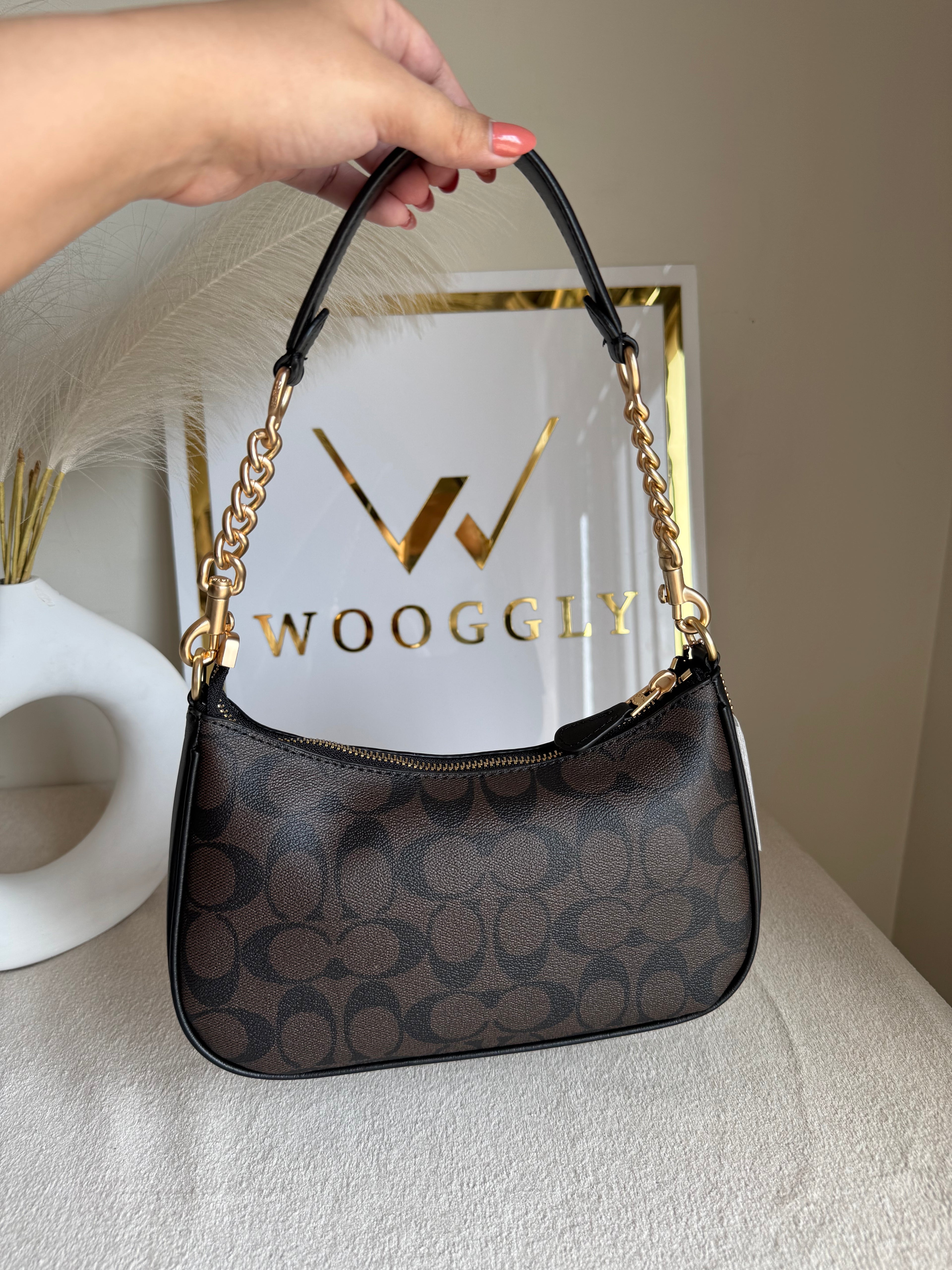 COACH TERI PREMIUM (Signature Brown) - MAGNETIC BOX PACKING