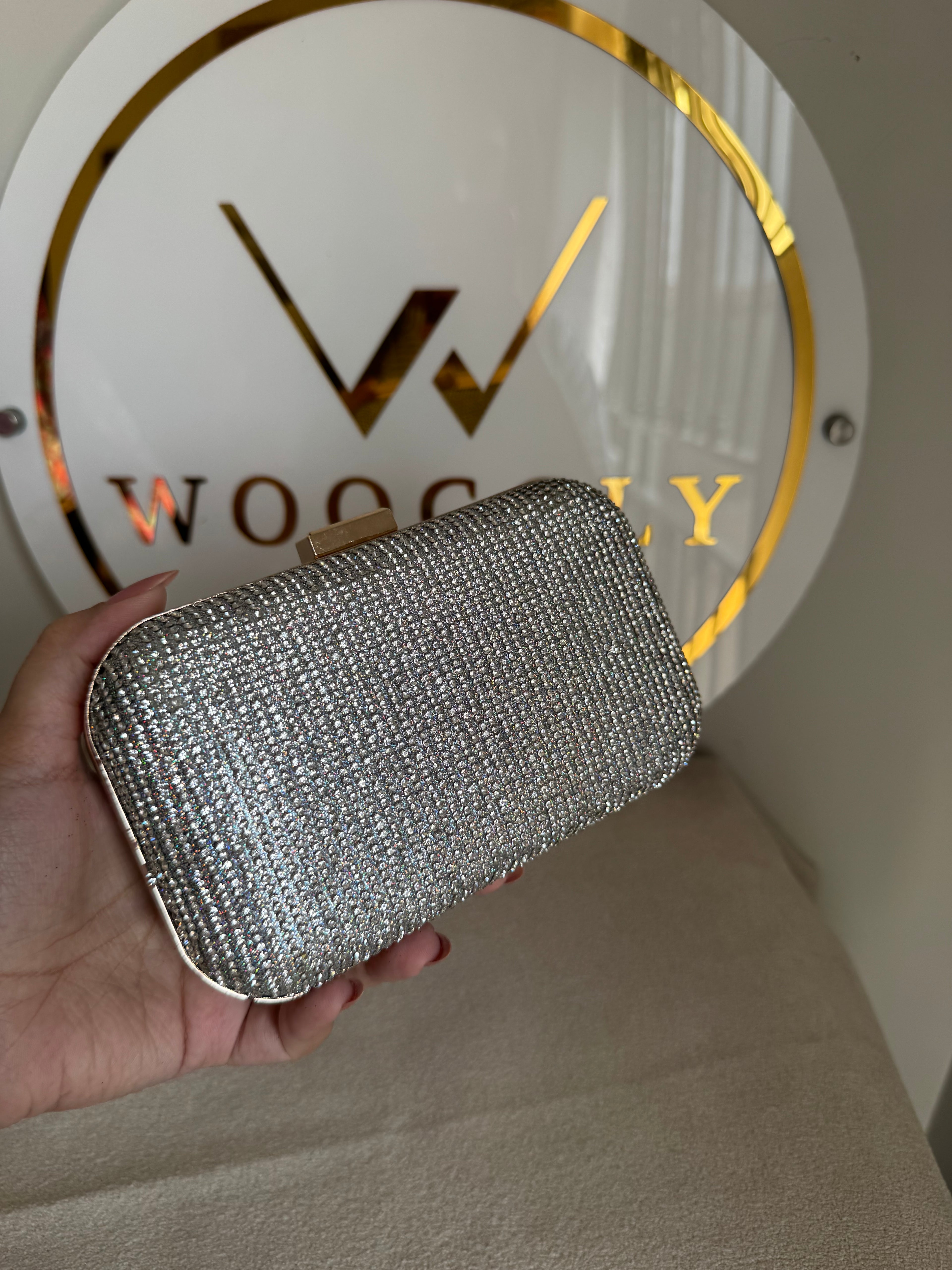 Mehar Shimmer Clutch - Silver
