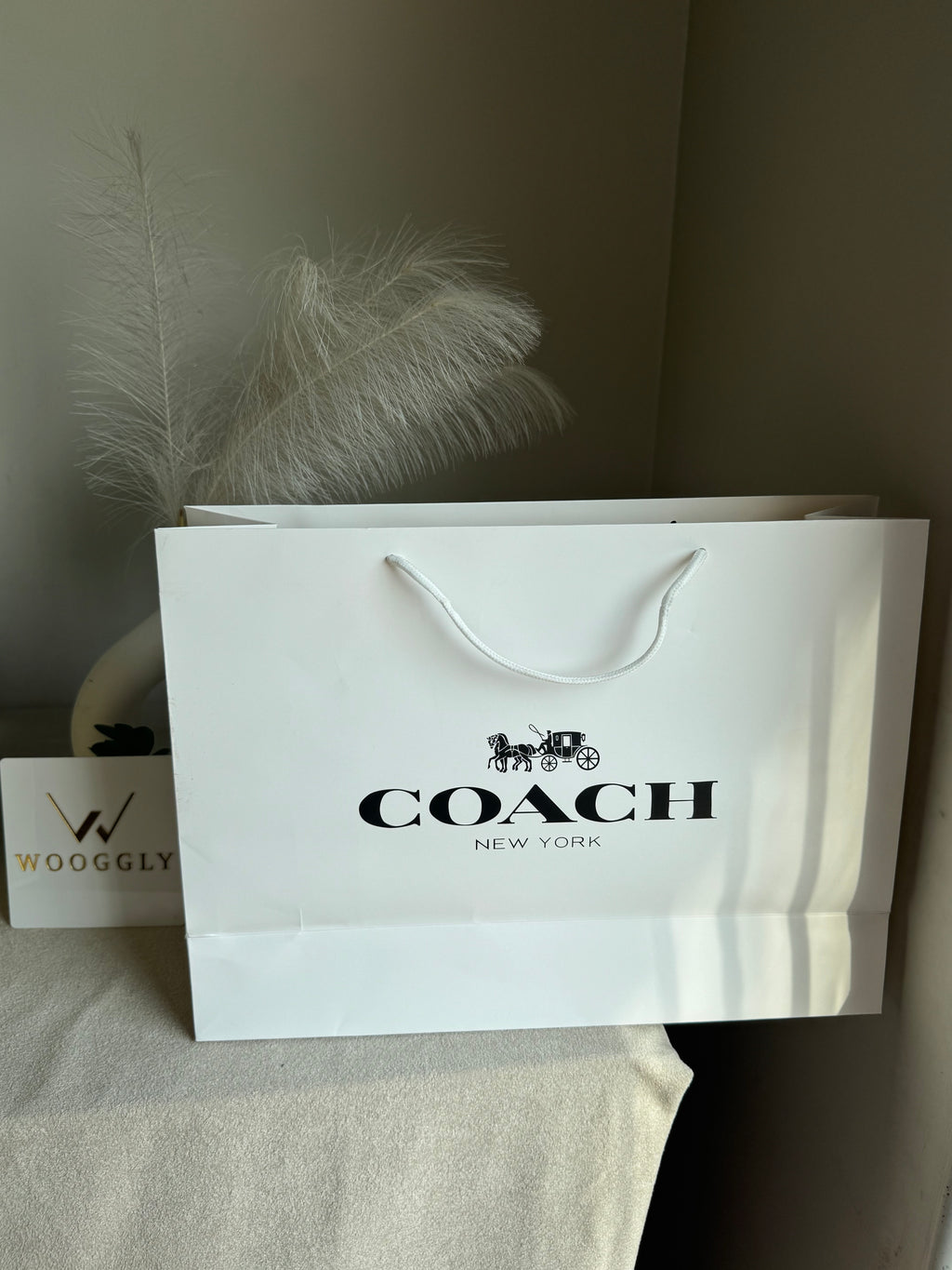 Gift Bag - Coach - Large (ONLY FOR PICK UP OR INDRIVE CUSTOMERS IN LAHORE)