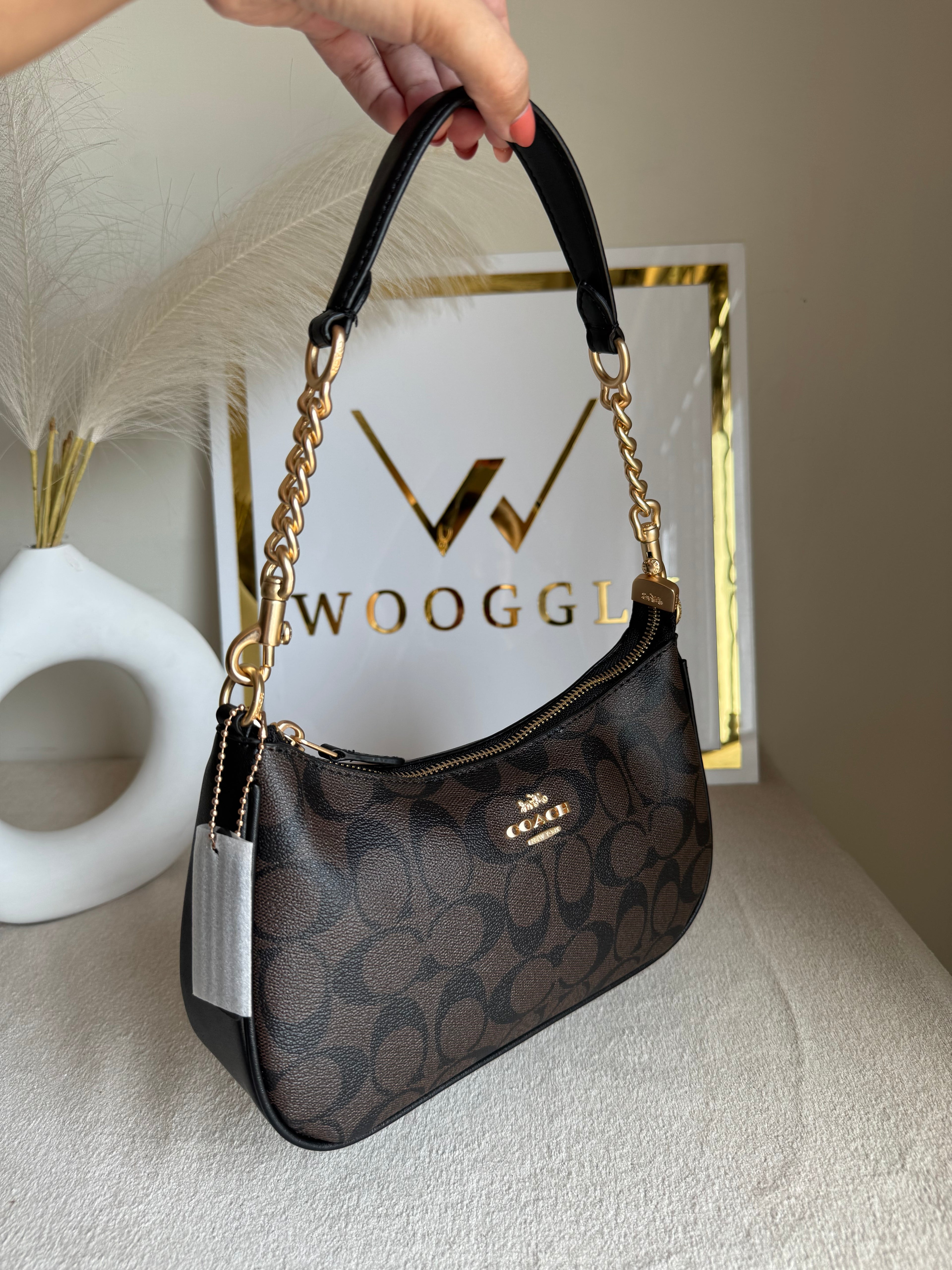 COACH TERI PREMIUM (Signature Brown) - MAGNETIC BOX PACKING