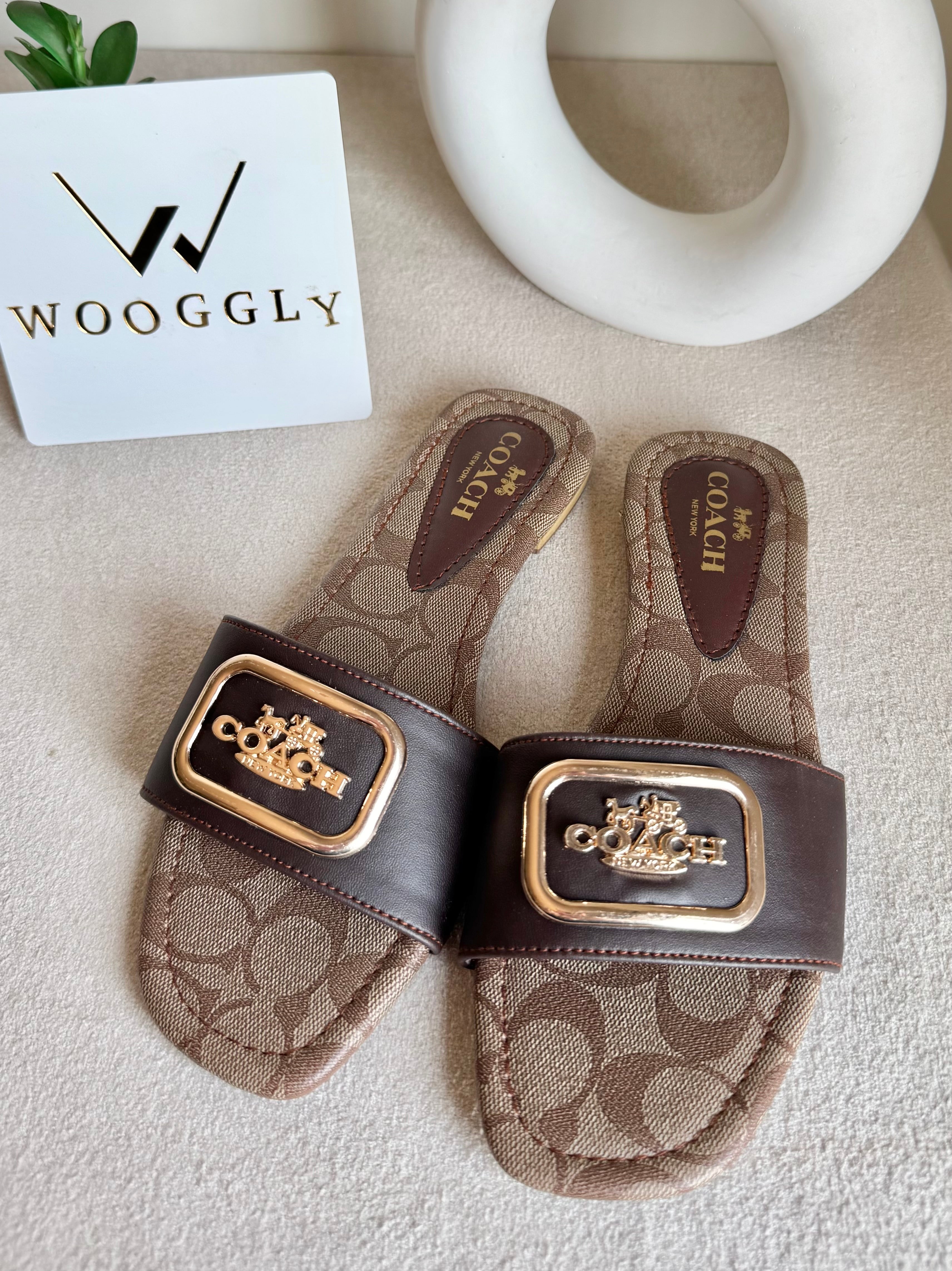 Minimal Coach Slides - Signature Brown