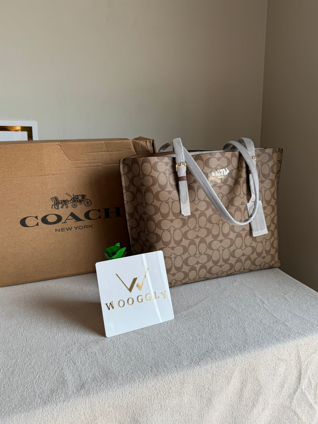EXTREMELY PREMIUM COACH Mollie Tote Bag - Signature Apricot Brown (BOX PACKING)