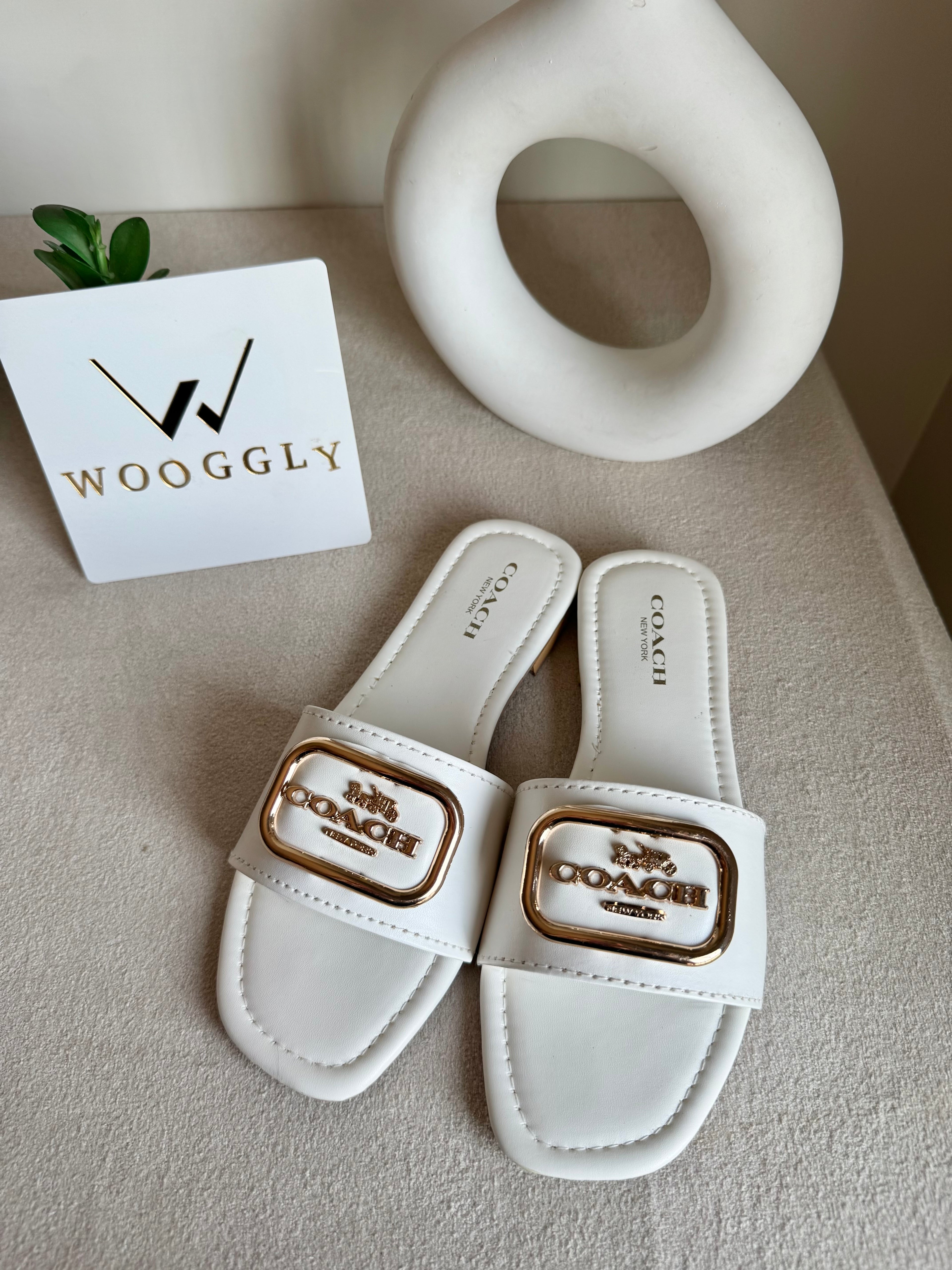 Minimal Coach Slides - White