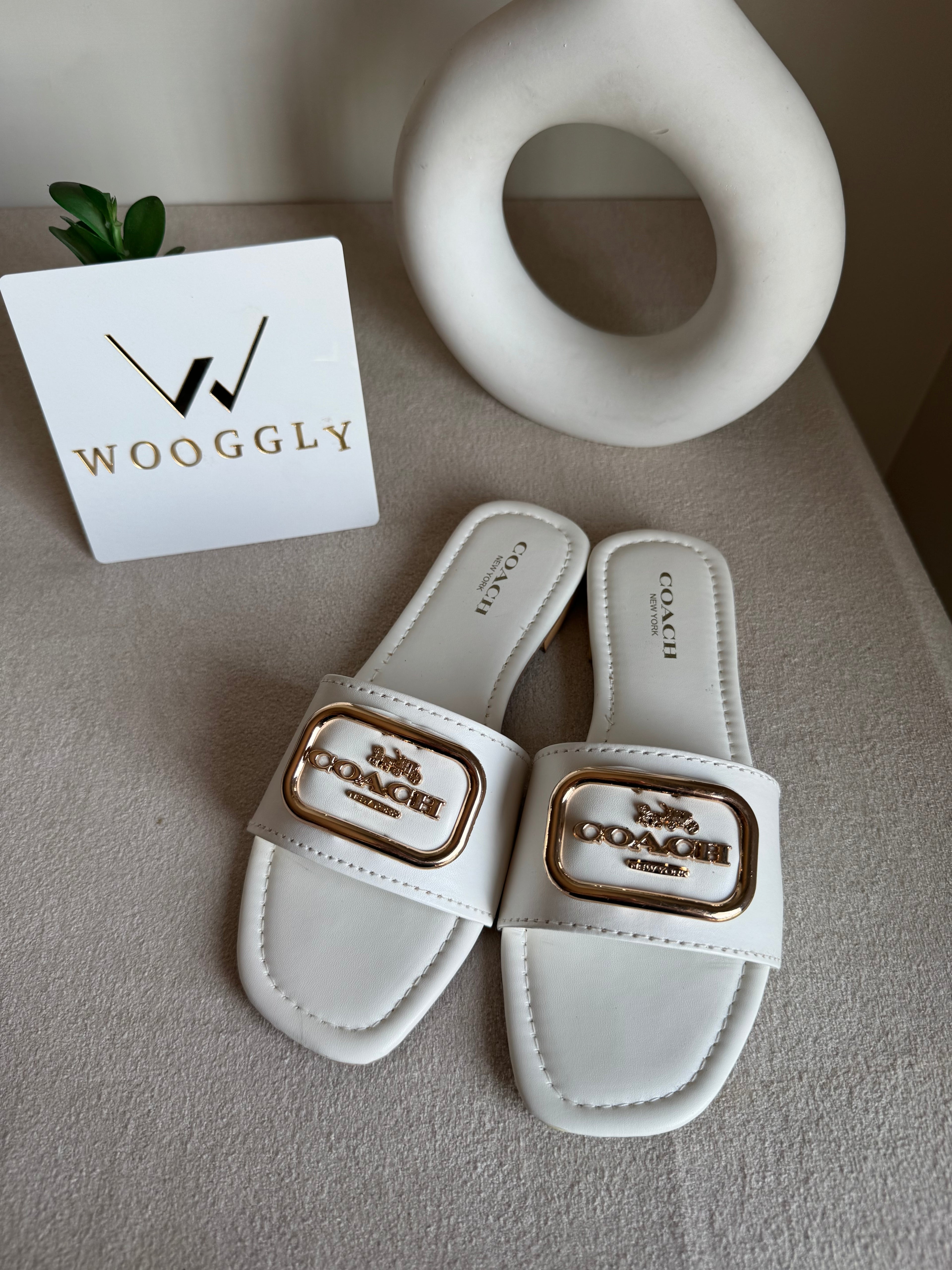 Minimal Coach Slides - White