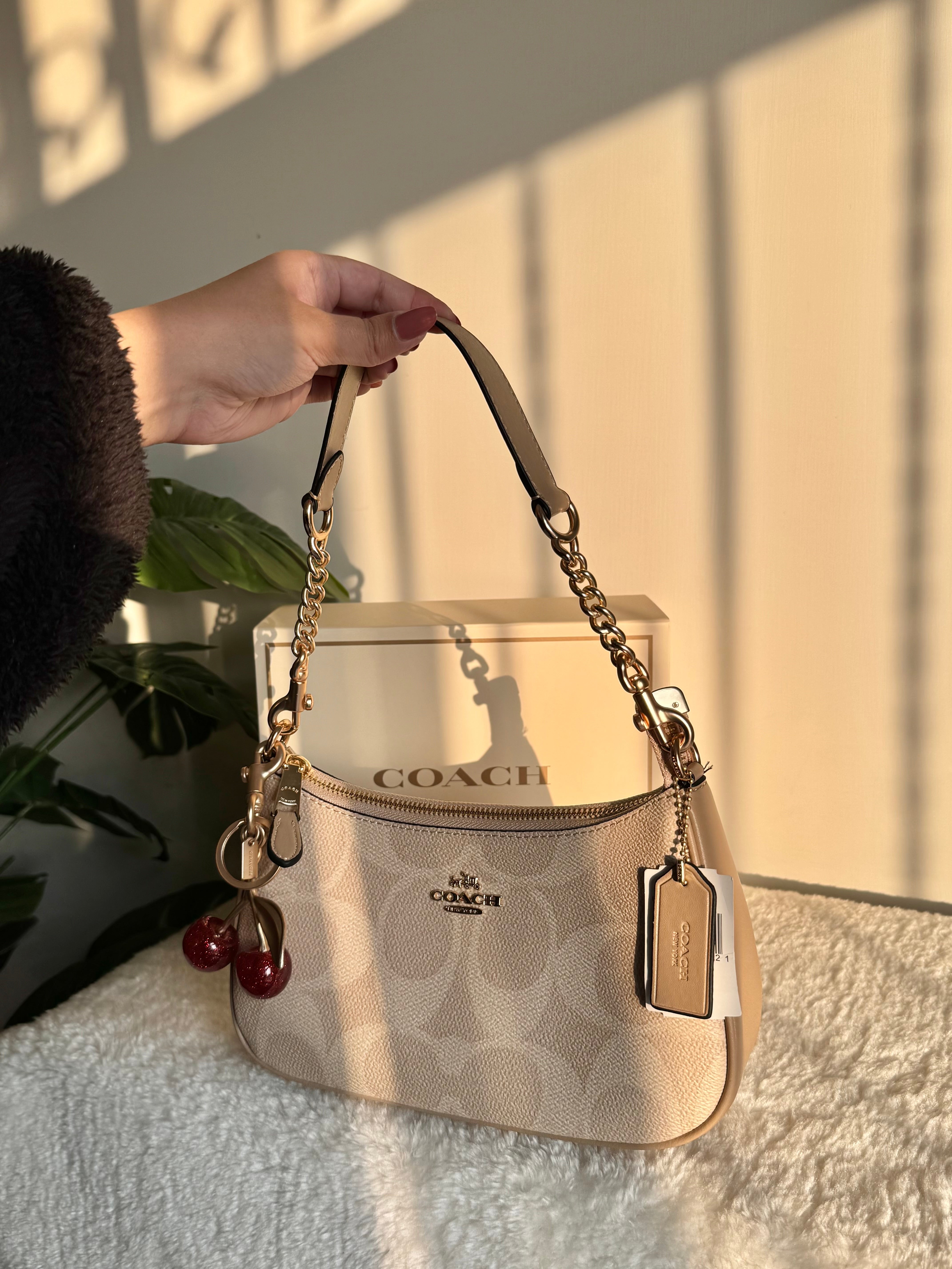 COACH TERI PREMIUM with Coach Cherry Charm (Beige) - BOX PACKING