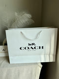 Gift Bag - Coach - Large (ONLY FOR PICK UP OR INDRIVE CUSTOMERS IN LAHORE)