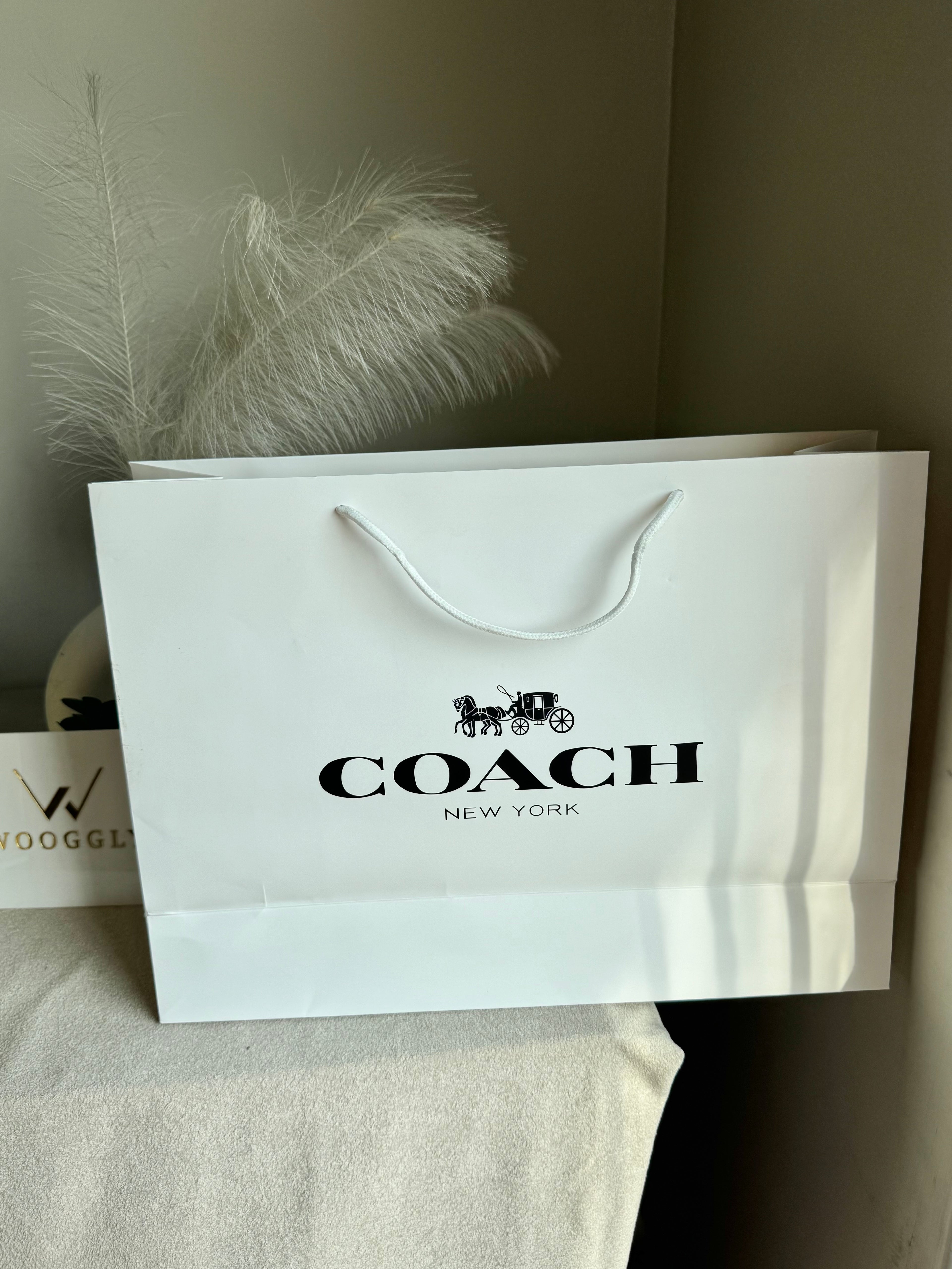 Gift Bag - Coach - Large (ONLY FOR PICK UP OR INDRIVE CUSTOMERS IN LAHORE)
