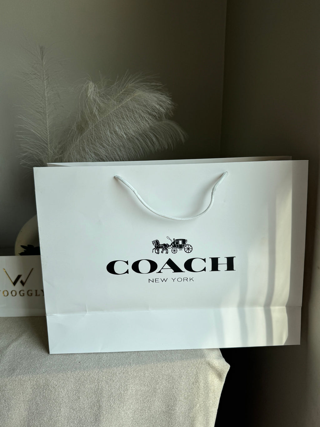 Gift Bag - Coach - Large (ONLY FOR PICK UP OR INDRIVE CUSTOMERS IN LAHORE)