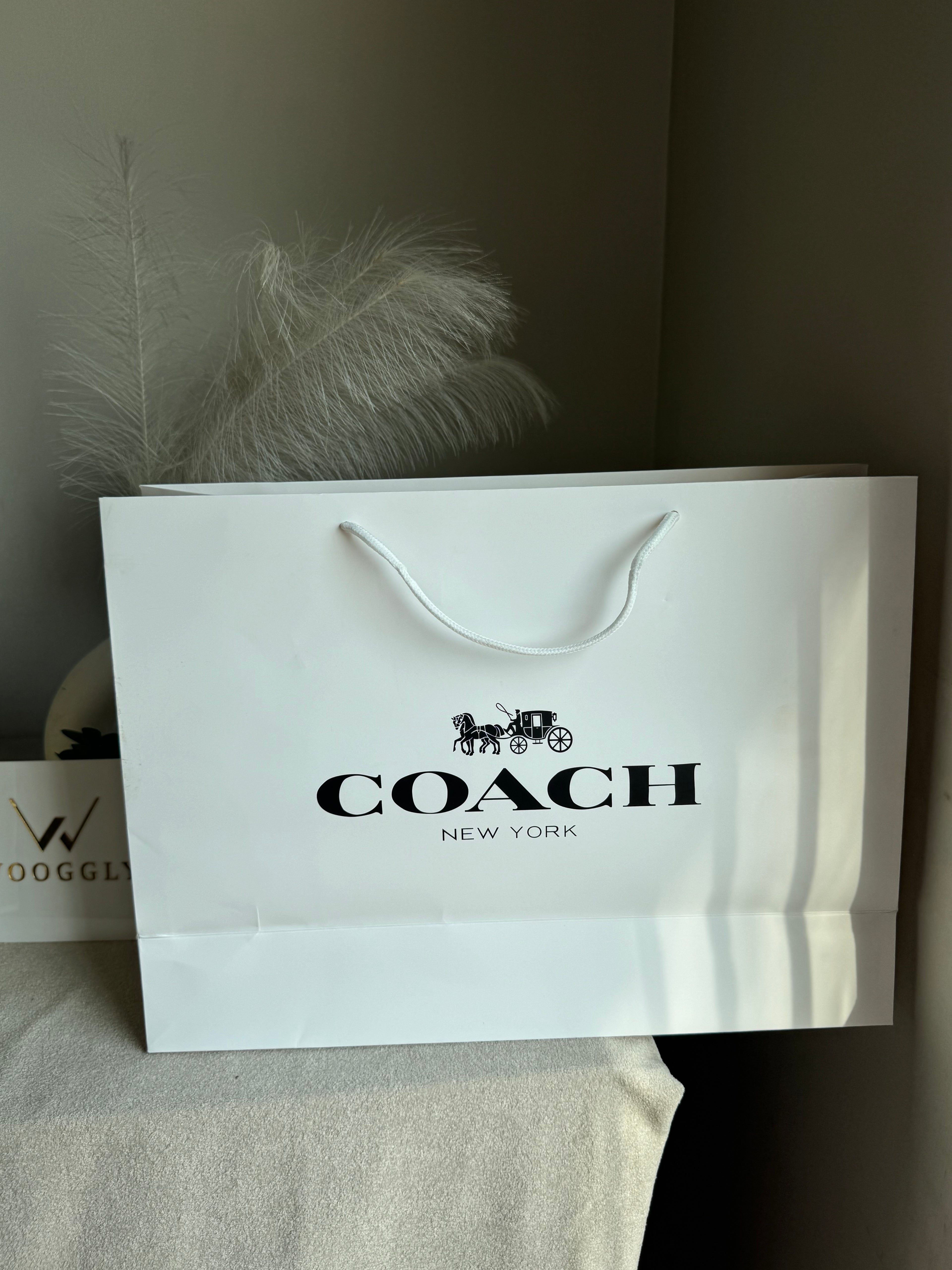 Gift Bag - Coach - Large (ONLY FOR PICK UP OR INDRIVE CUSTOMERS IN LAHORE)