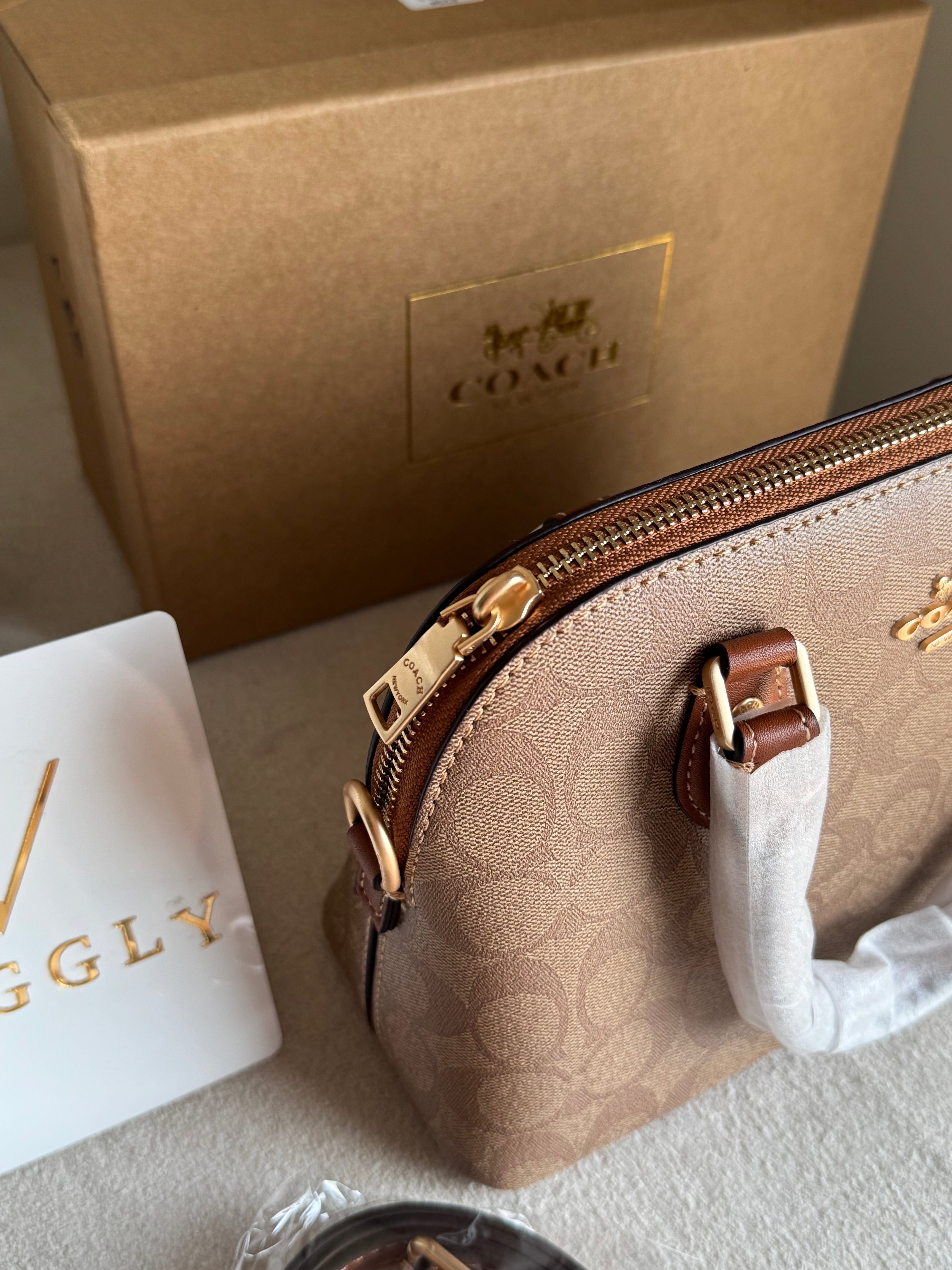 COACH PREMIUM Hand Bag (Apricot Brown) BOX PACKING