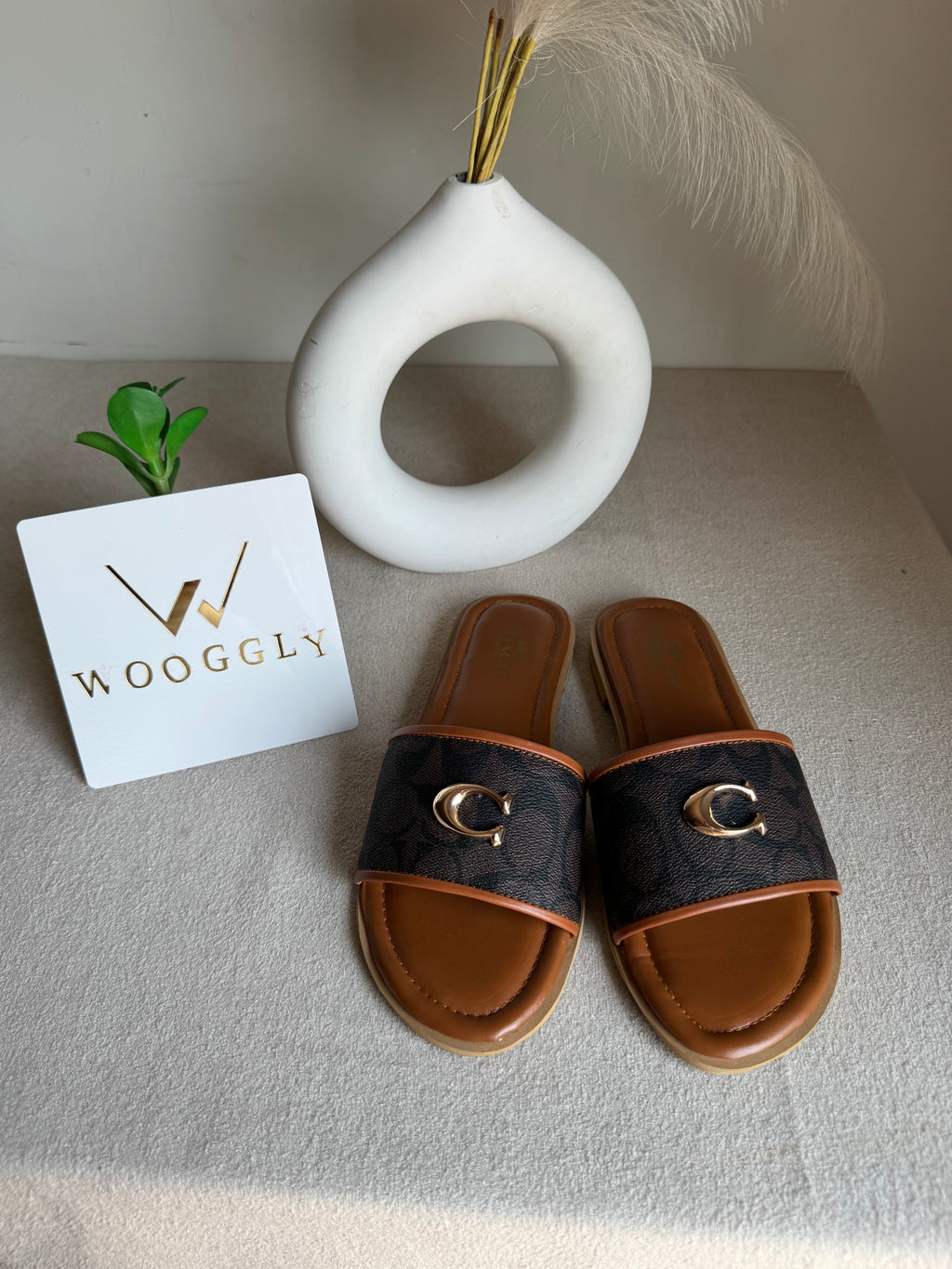 Viral Coach Slides Brown