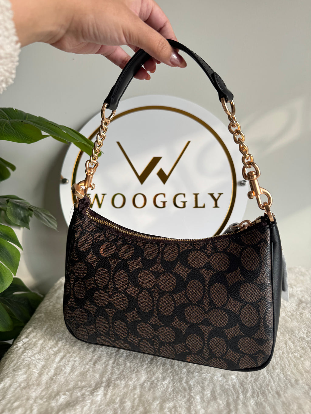 COACH TERI PREMIUM (Signature Brown) - MAGNETIC BOX PACKING