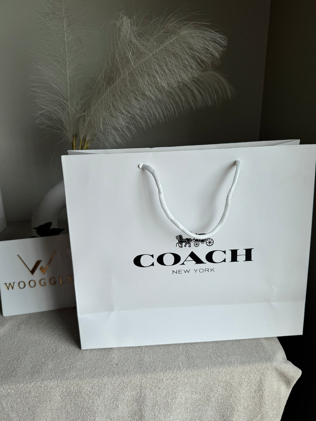 Gift Bag - Coach - Medium (ONLY FOR PICK UP OR INDRIVE CUSTOMERS IN LAHORE)