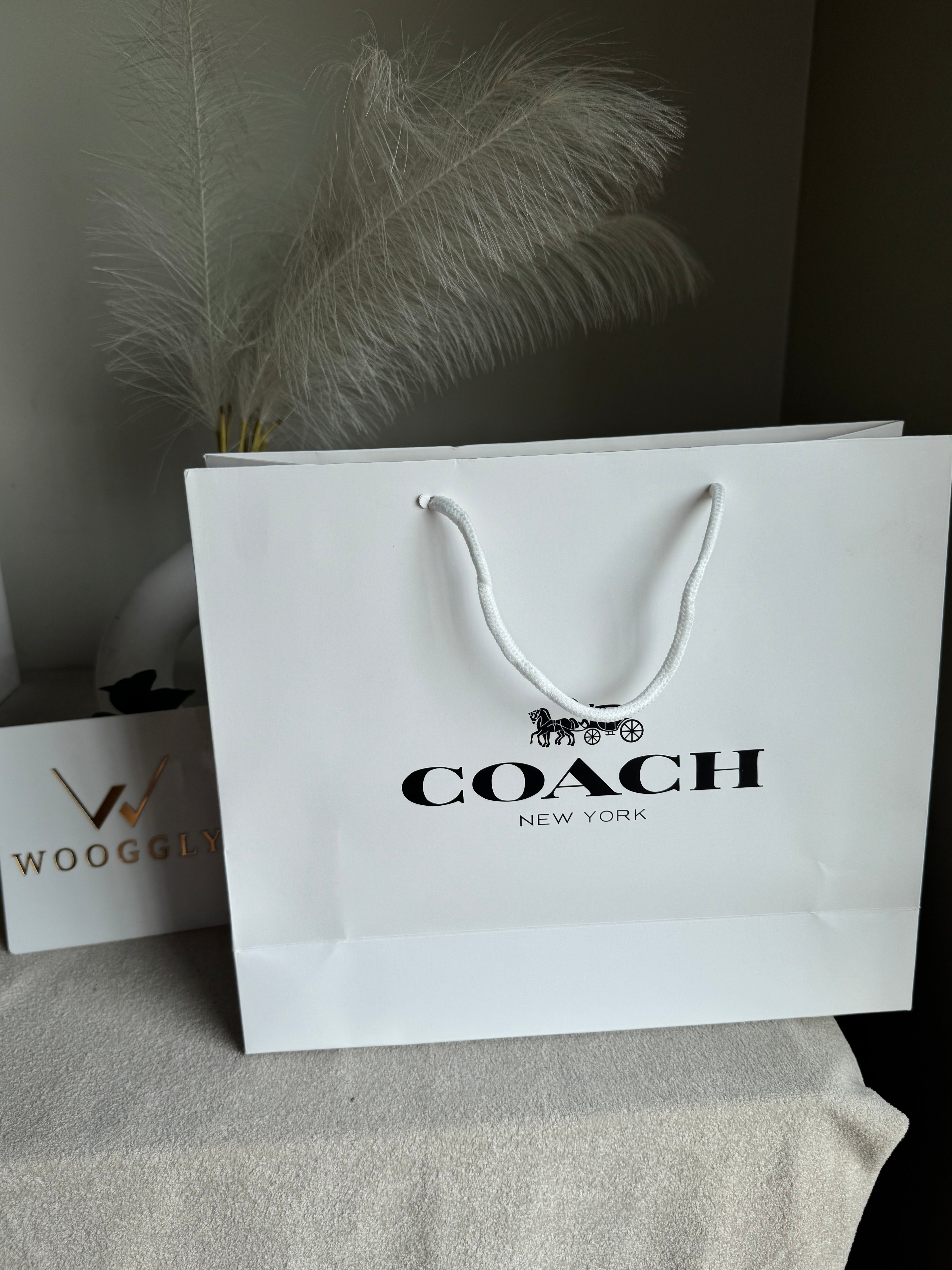 Gift Bag - Coach - Medium (ONLY FOR PICK UP OR INDRIVE CUSTOMERS IN LAHORE)