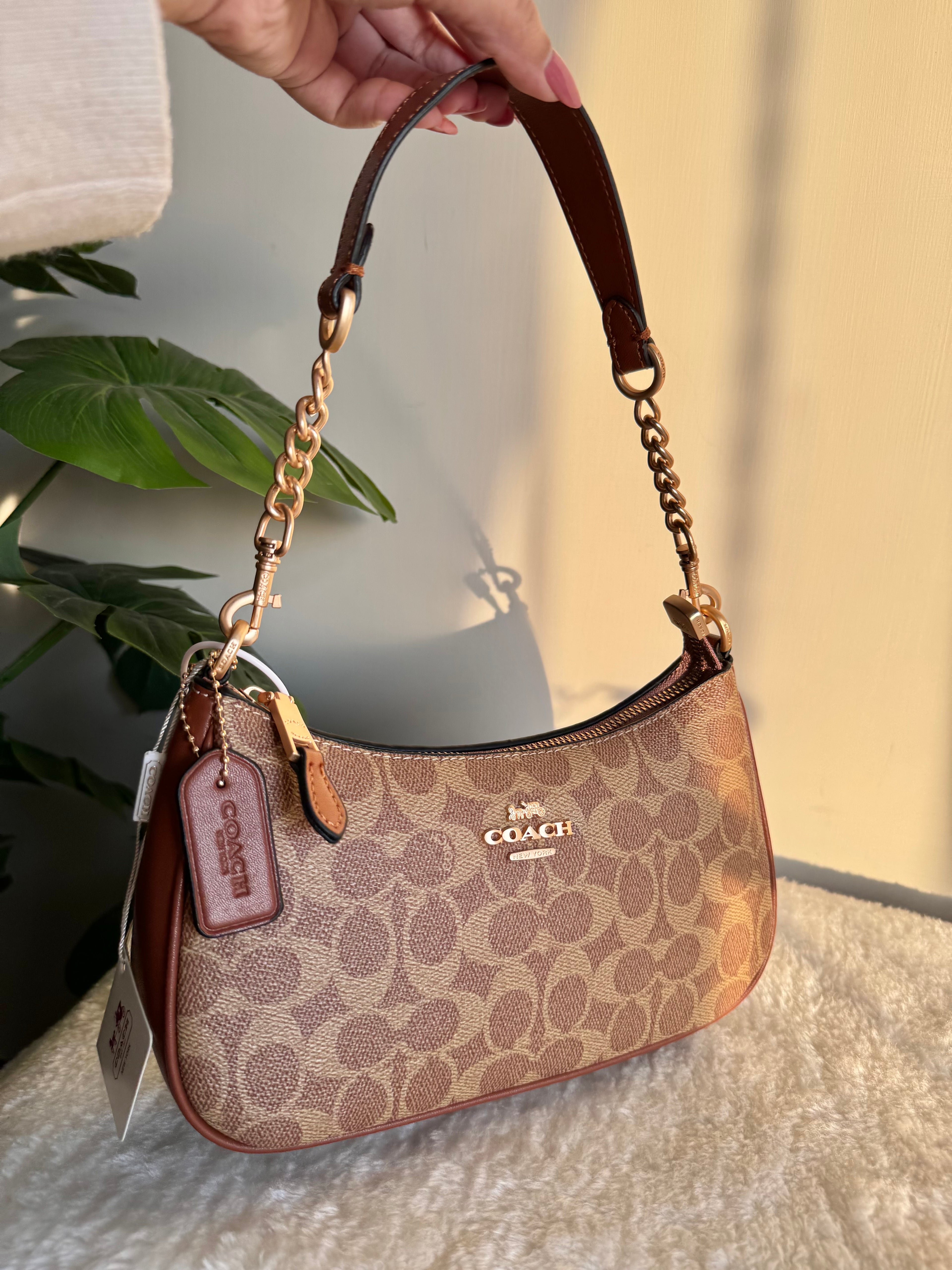 COACH TERI PREMIUM (Apricot Brown) - BOX PACKING