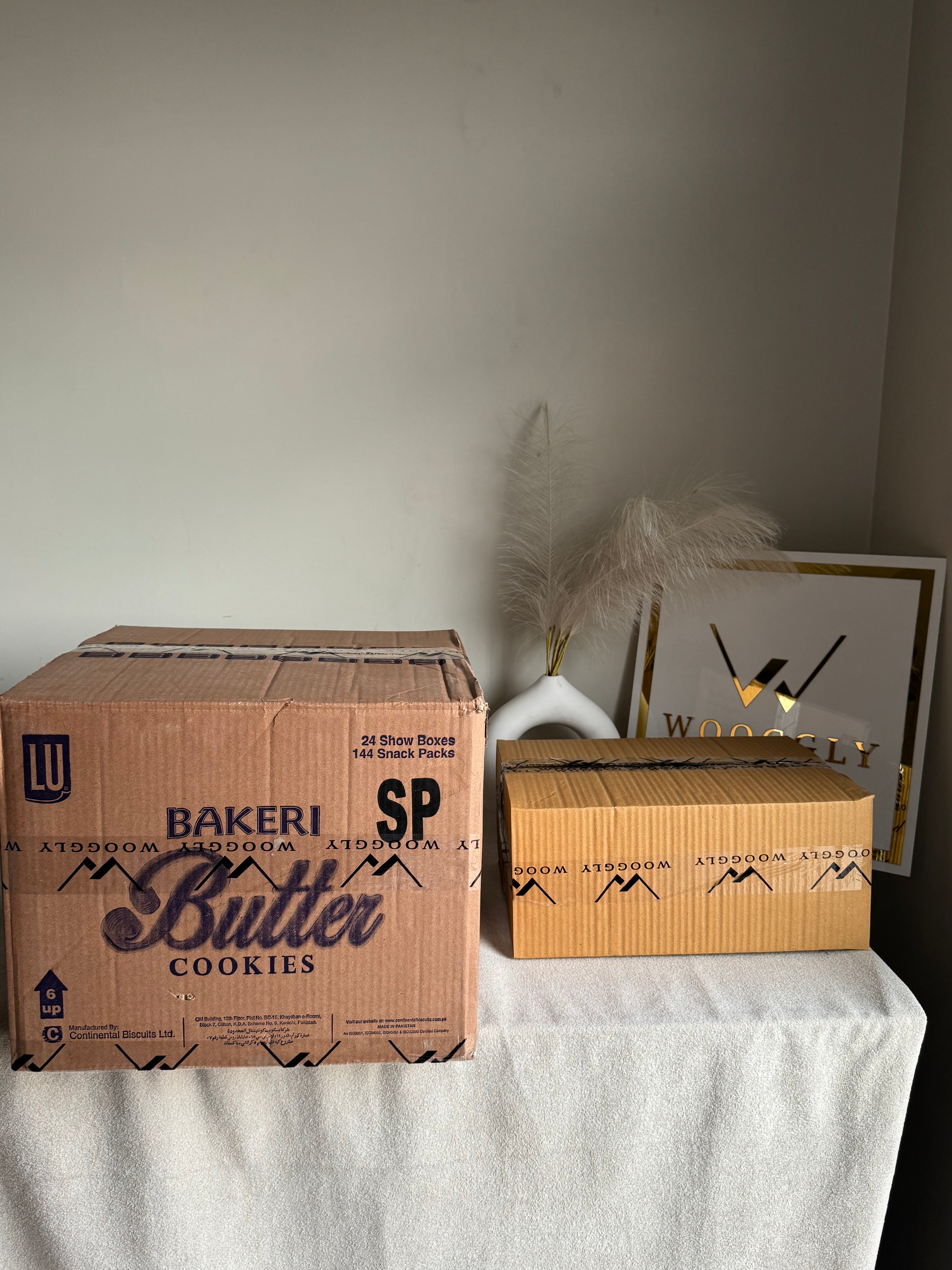 CARTON BOX PACKING for PAPER BAGS
