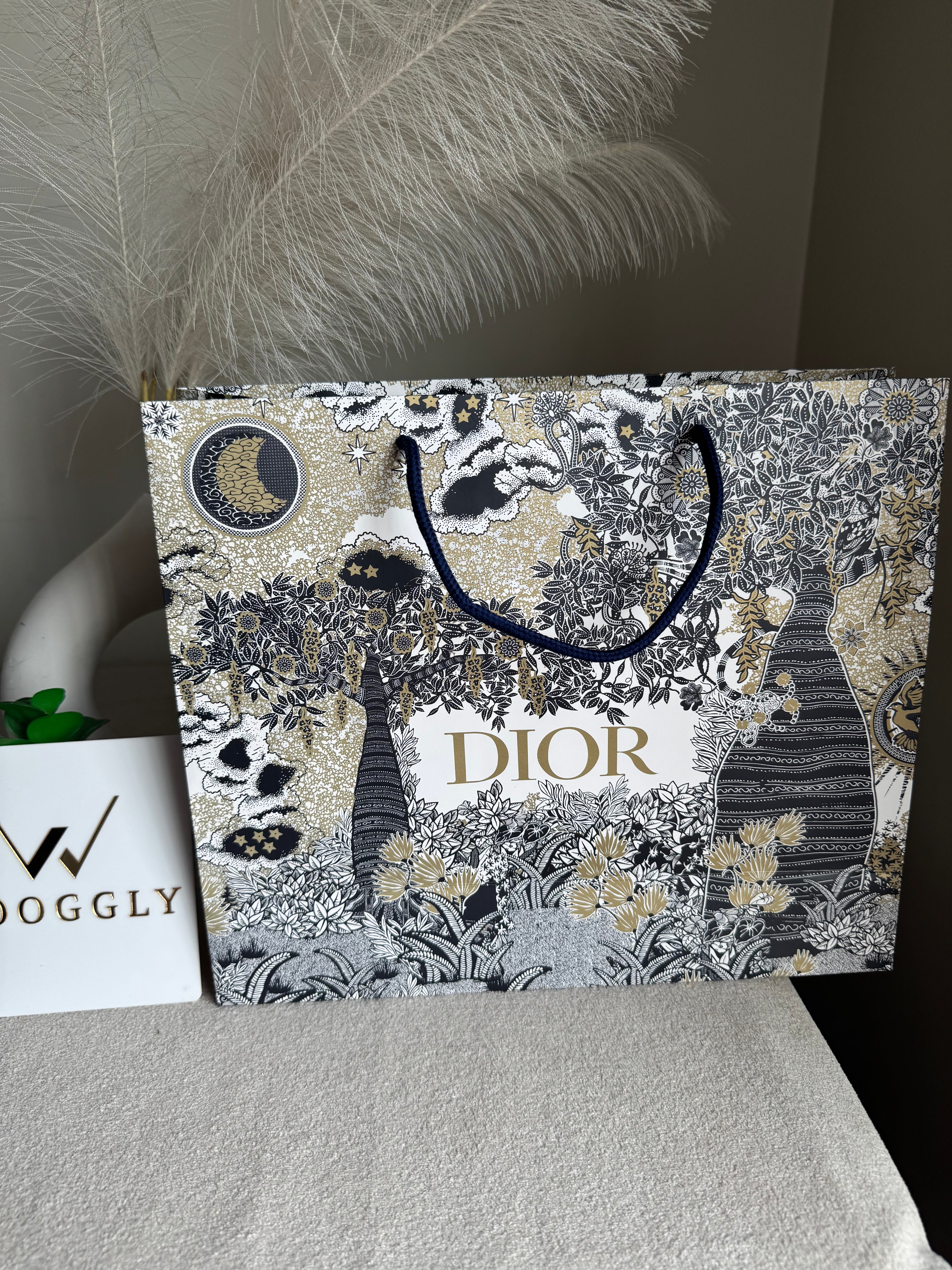 Gift Bag - Dior - Medium (ONLY FOR PICK UP OR INDRIVE CUSTOMERS IN LAHORE)