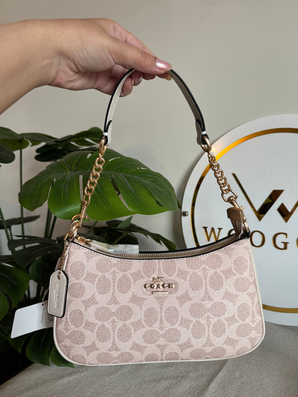 COACH TERI PREMIUM (Beige) - BOX PACKING