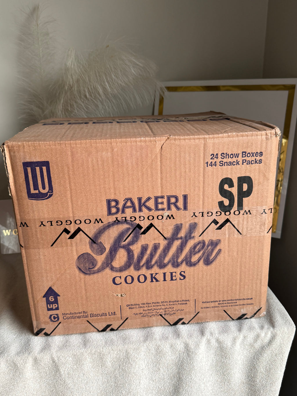 CARTON BOX PACKING for PAPER BAGS