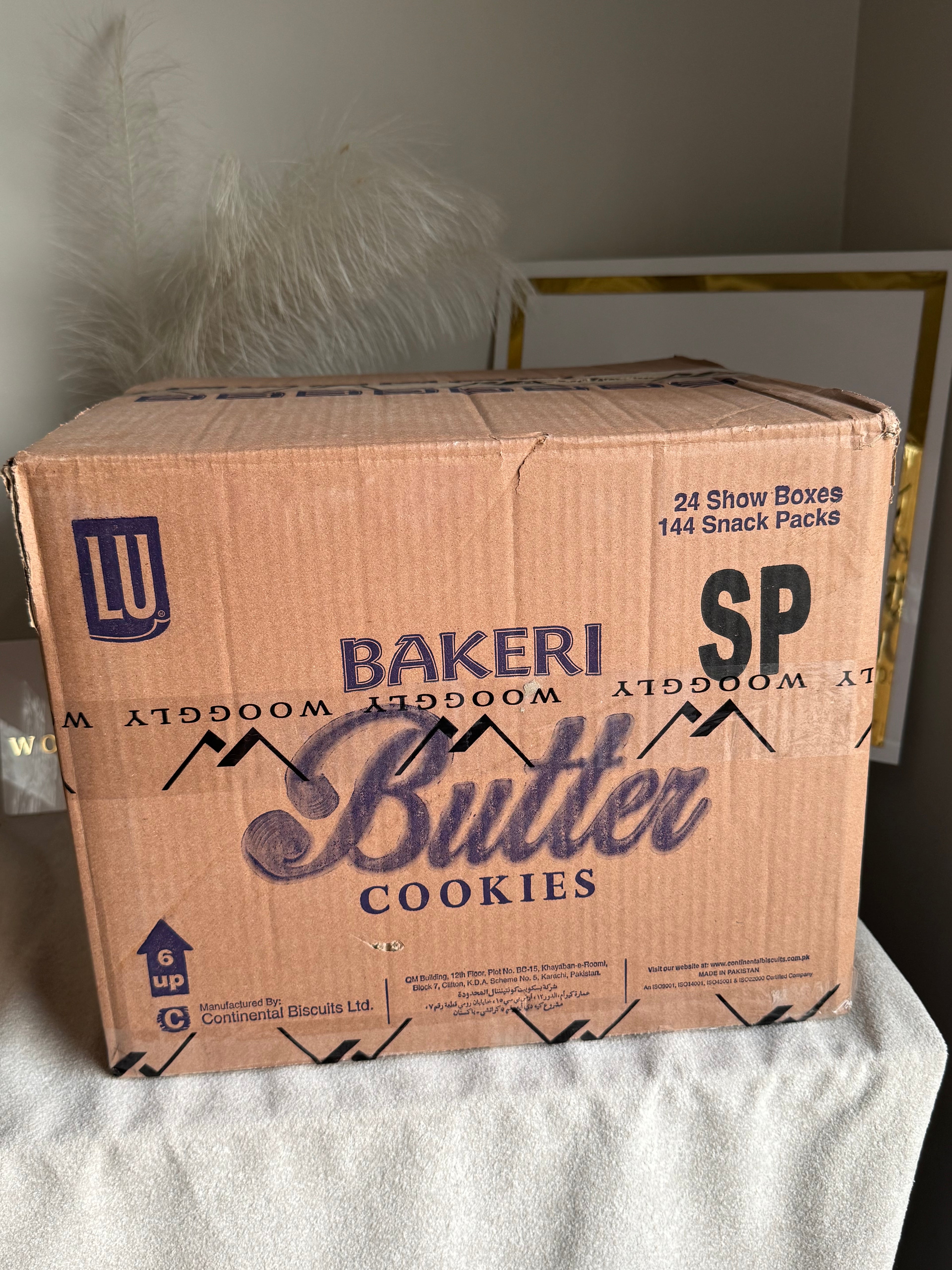 CARTON BOX PACKING for PAPER BAGS