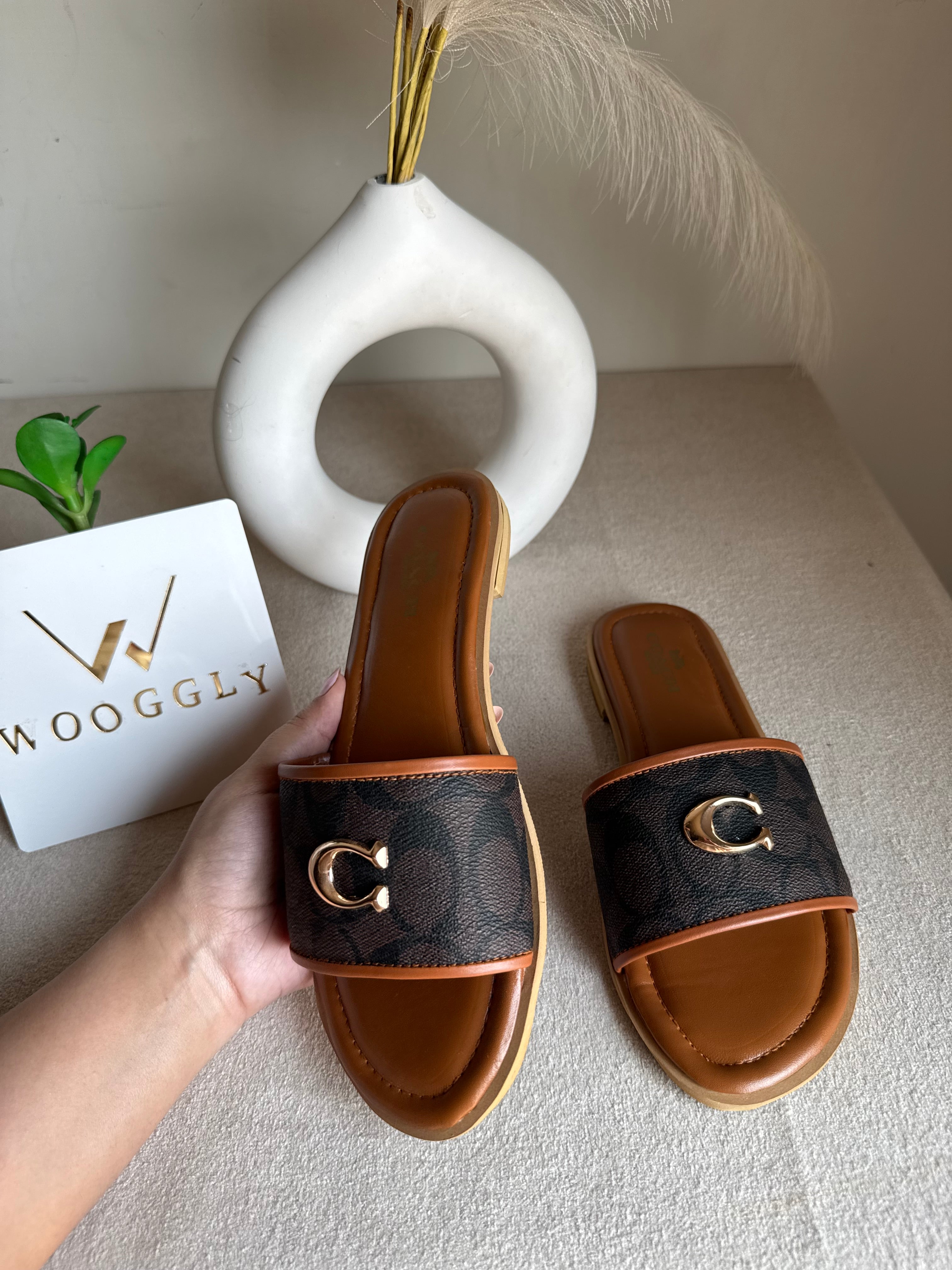 Viral Coach Slides Brown