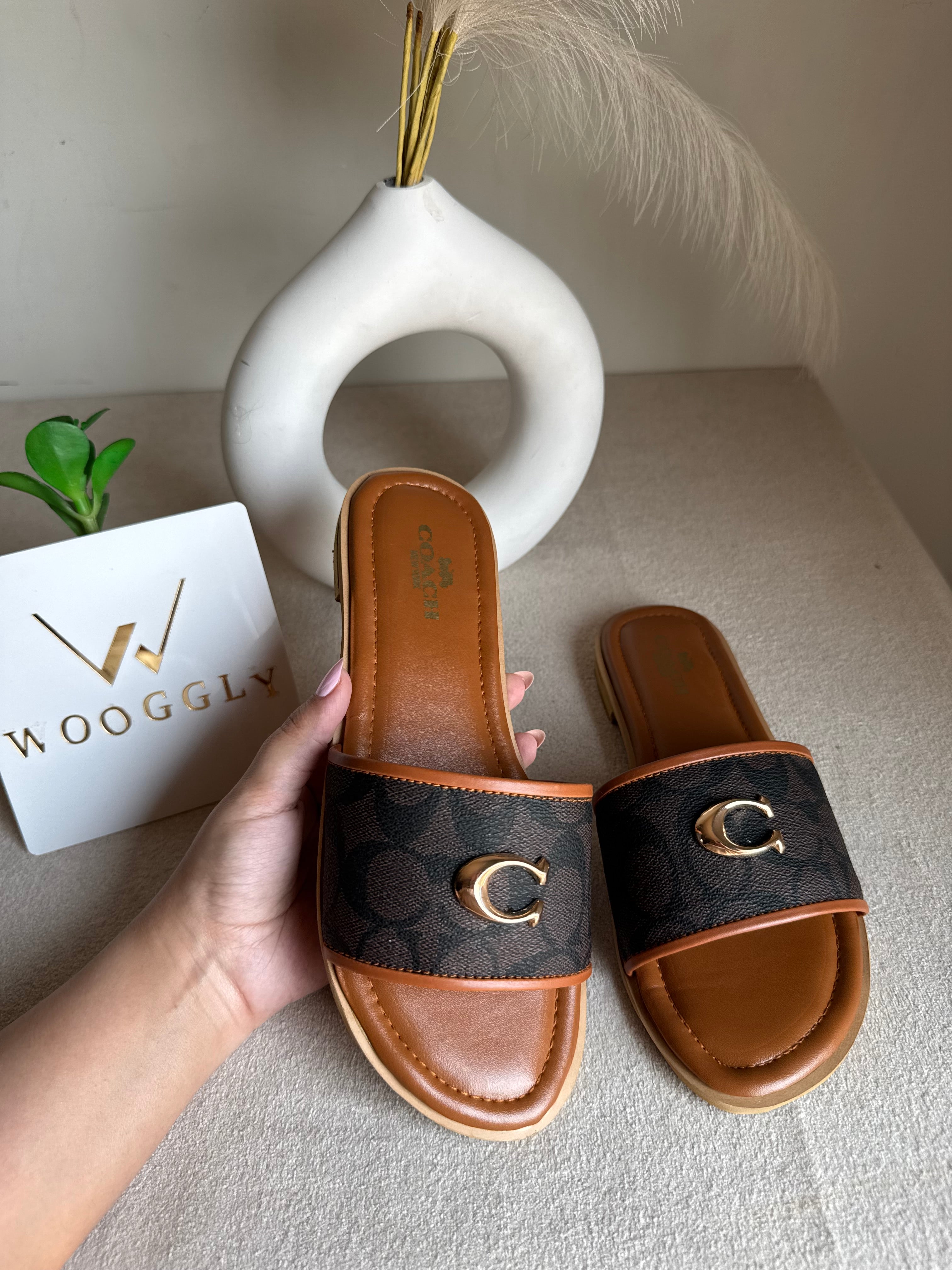 Viral Coach Slides Brown