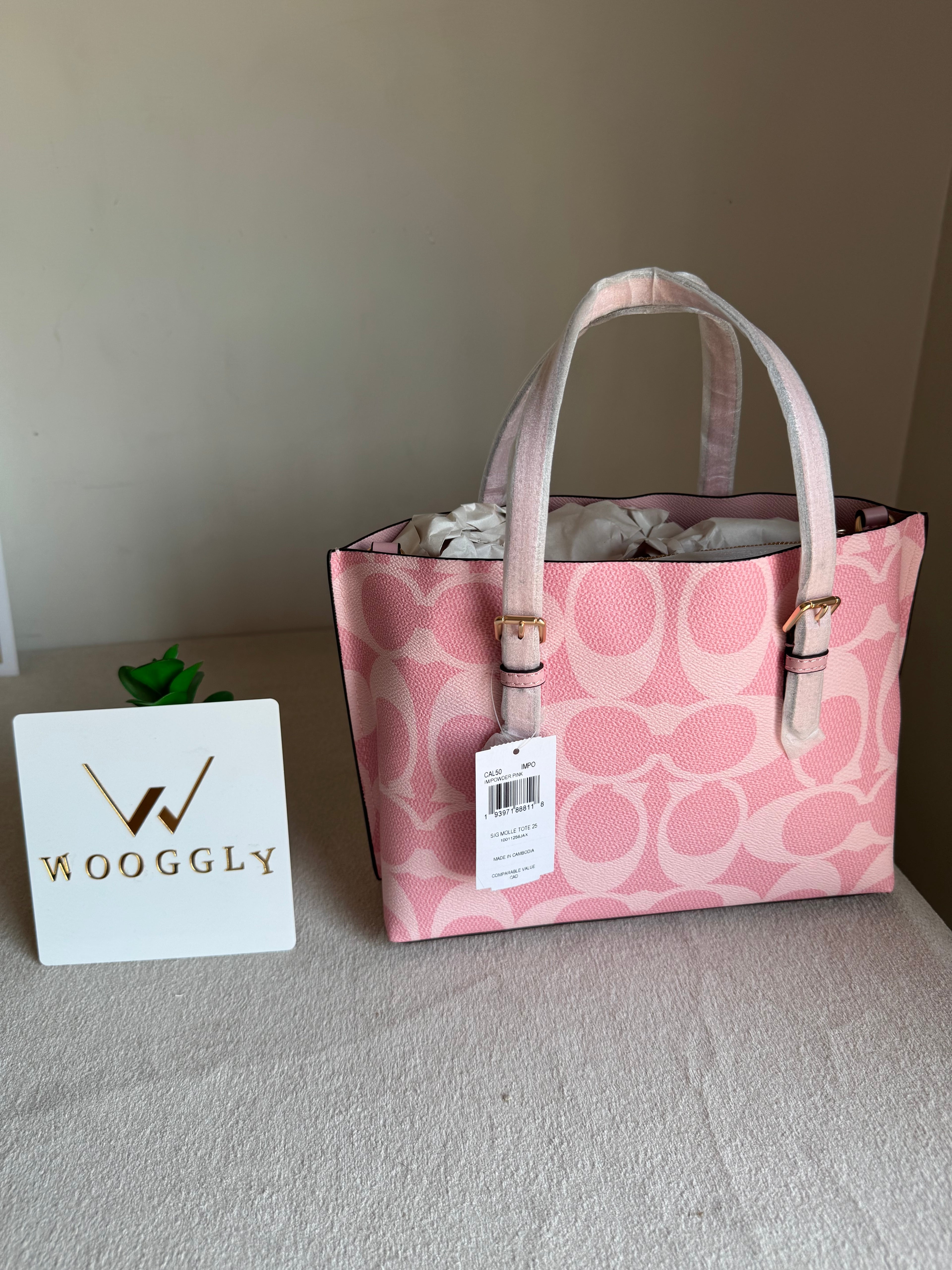 COACH Mini Mollie Tote Pink - BOX PACKING