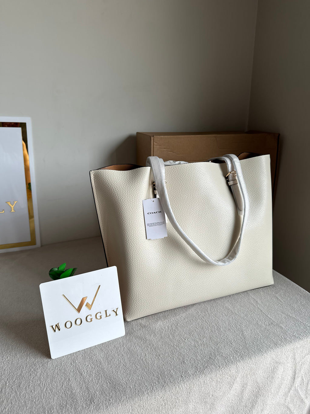 EXTREMELY PREMIUM COACH Mollie Tote Bag - Cream (BOX PACKING)
