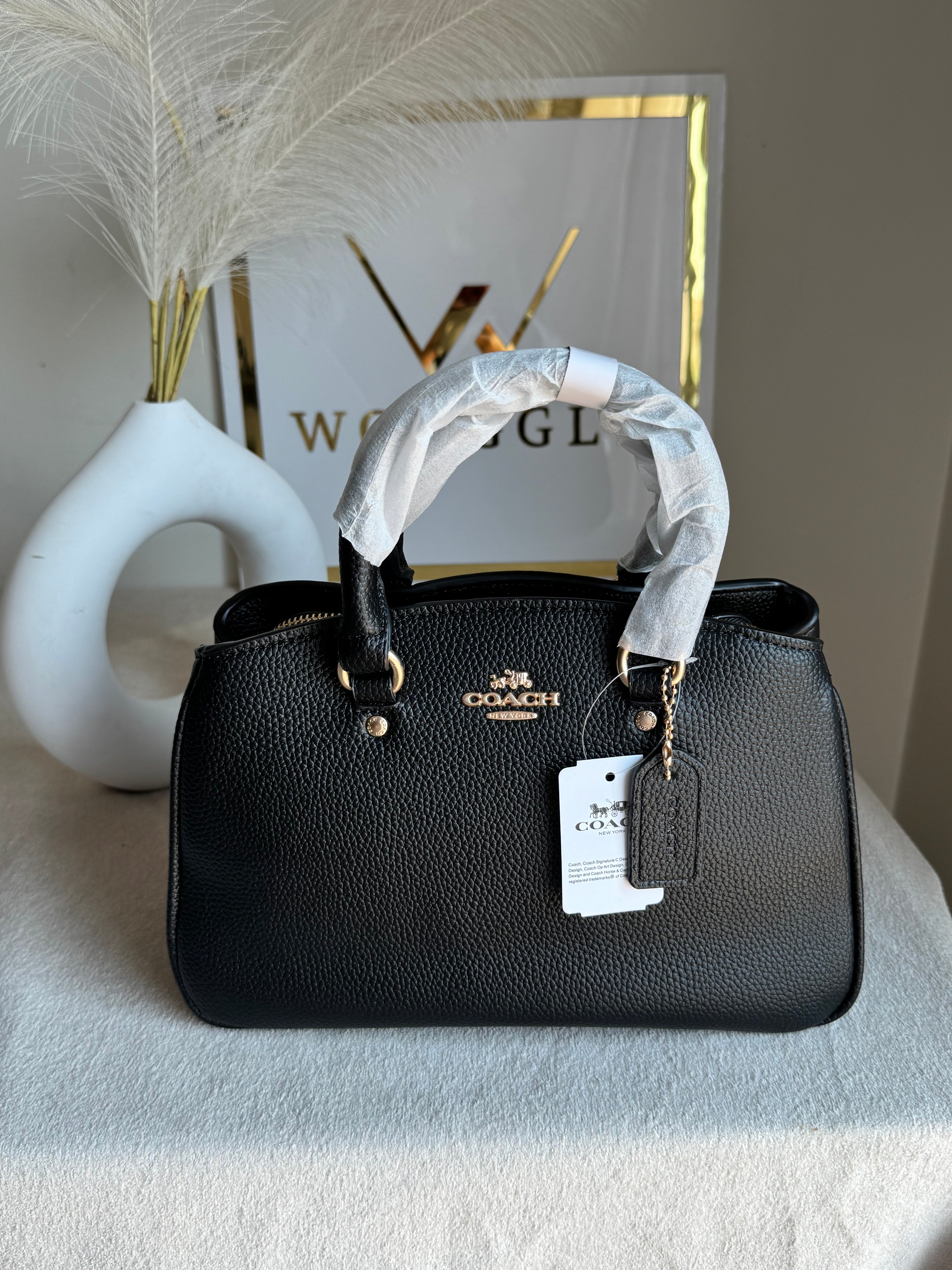 COACH PREMIUM Hand Bag (Black)