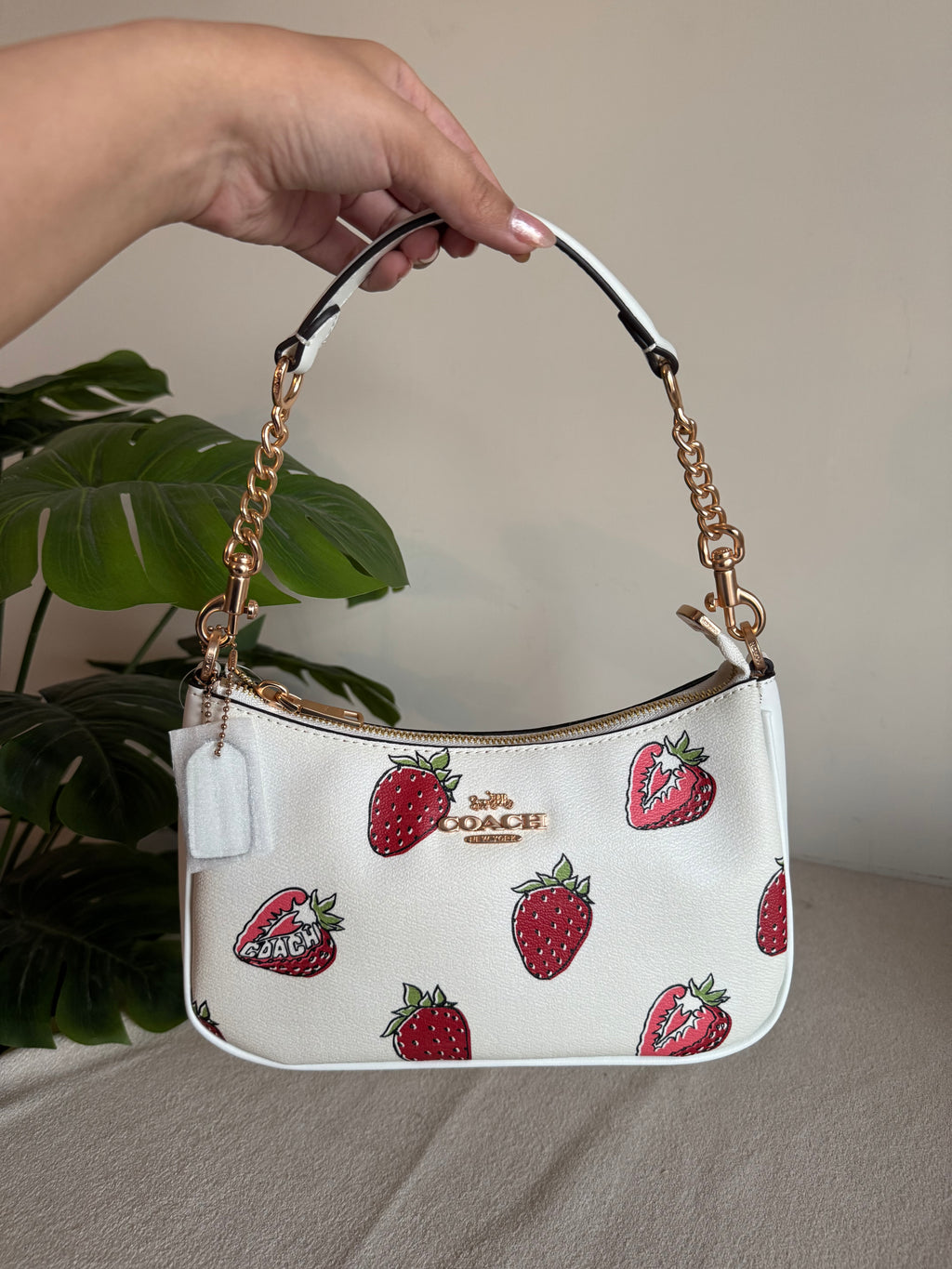 COACH TERI Limited Time Strawberry Shortcake - BOX PACKING