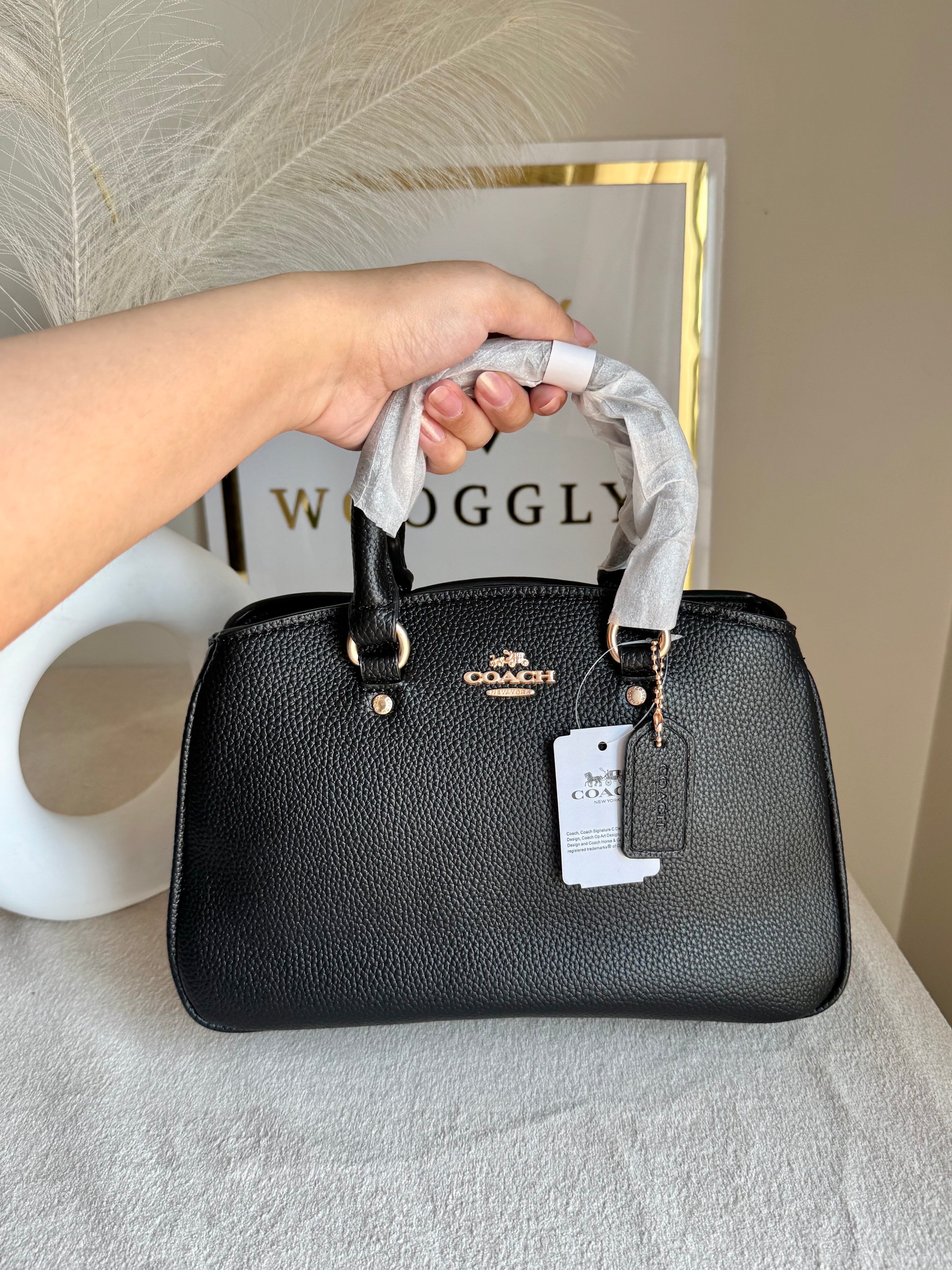 COACH PREMIUM Hand Bag (Black)