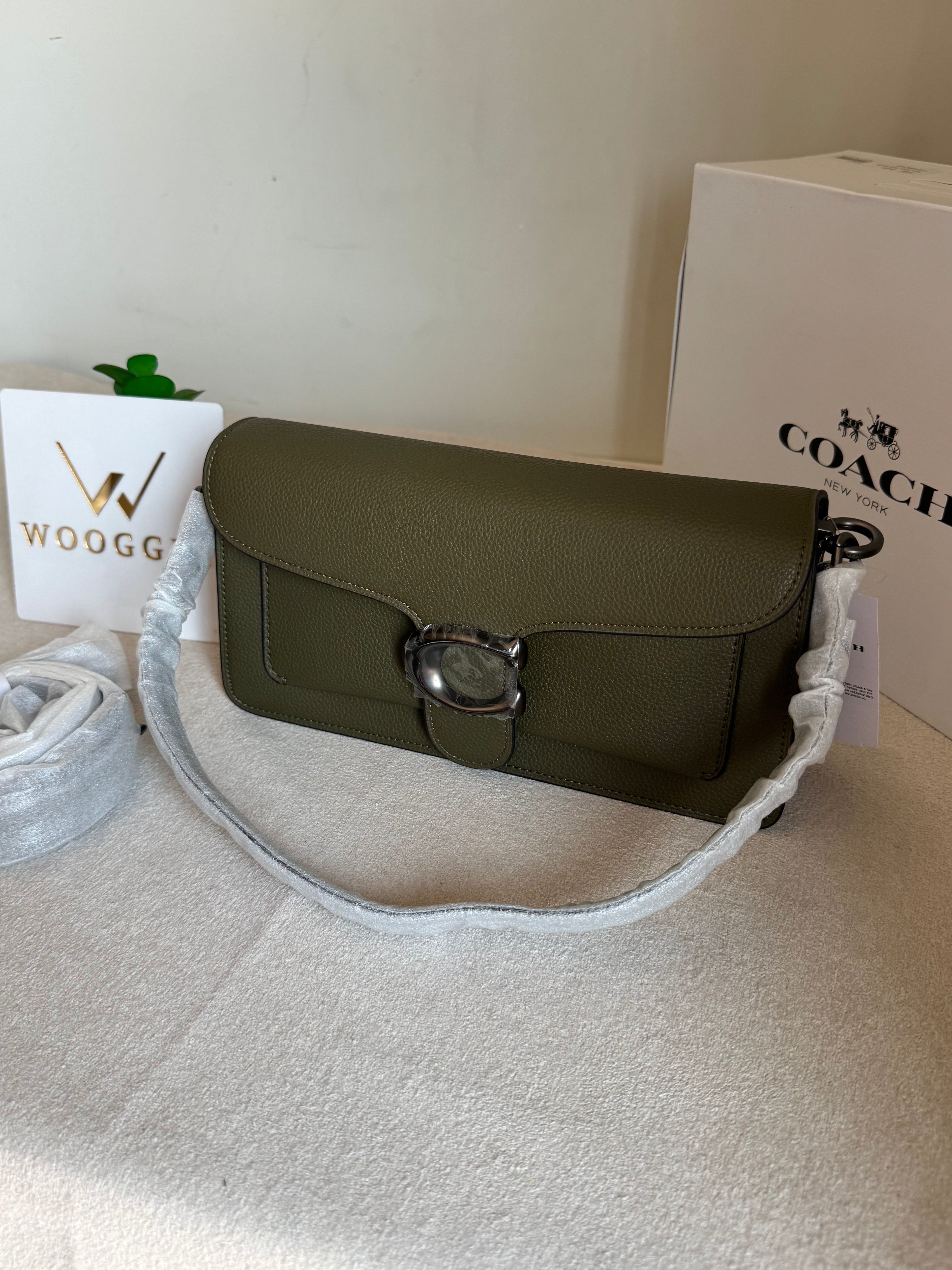 COACH TABBY PREMIUM (Olive Green) - MAGNETIC BOX PACKING