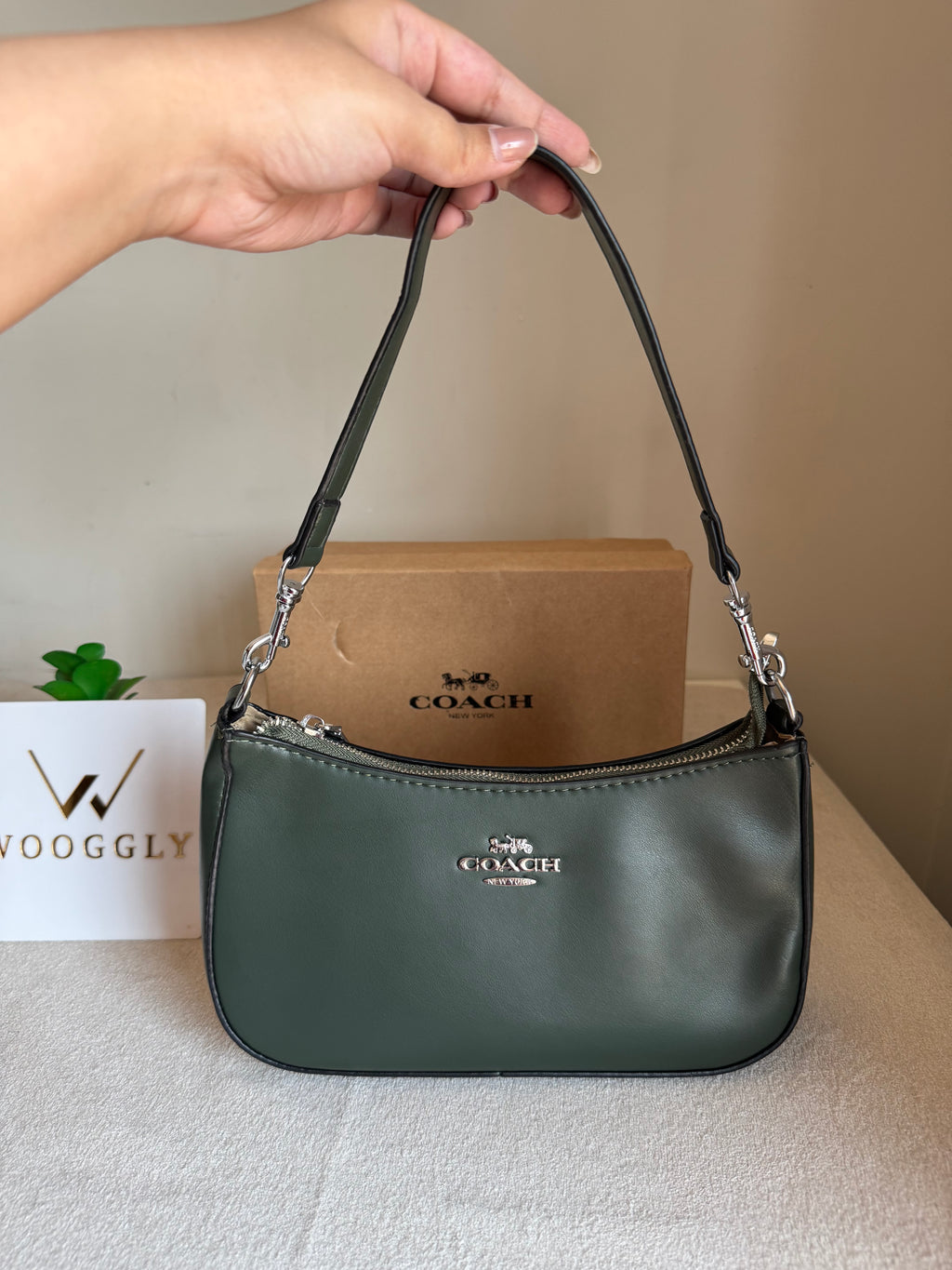 COACH TERI PREMIUM (Olive) - BOX PACKING