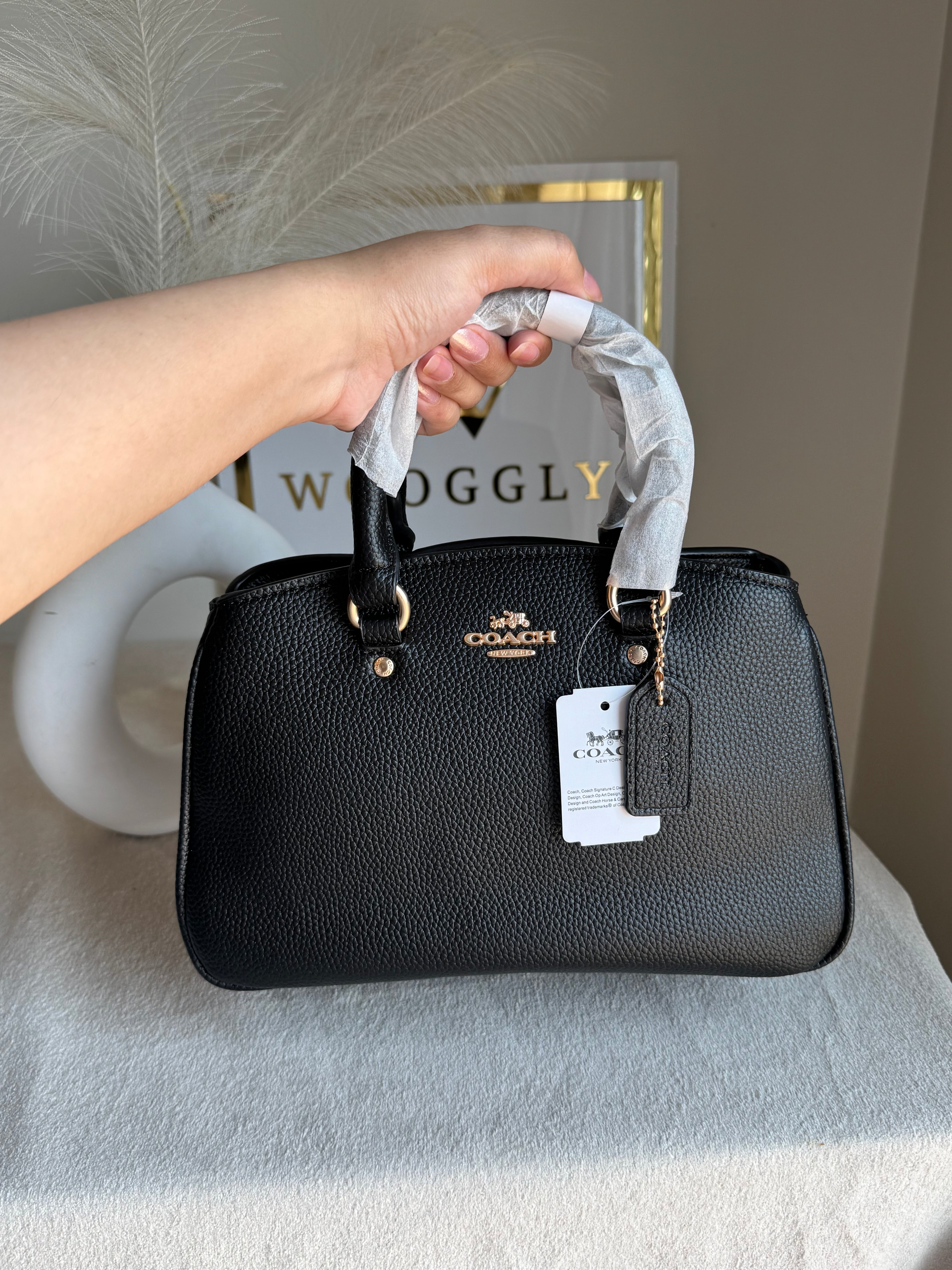 COACH PREMIUM Hand Bag (Black)